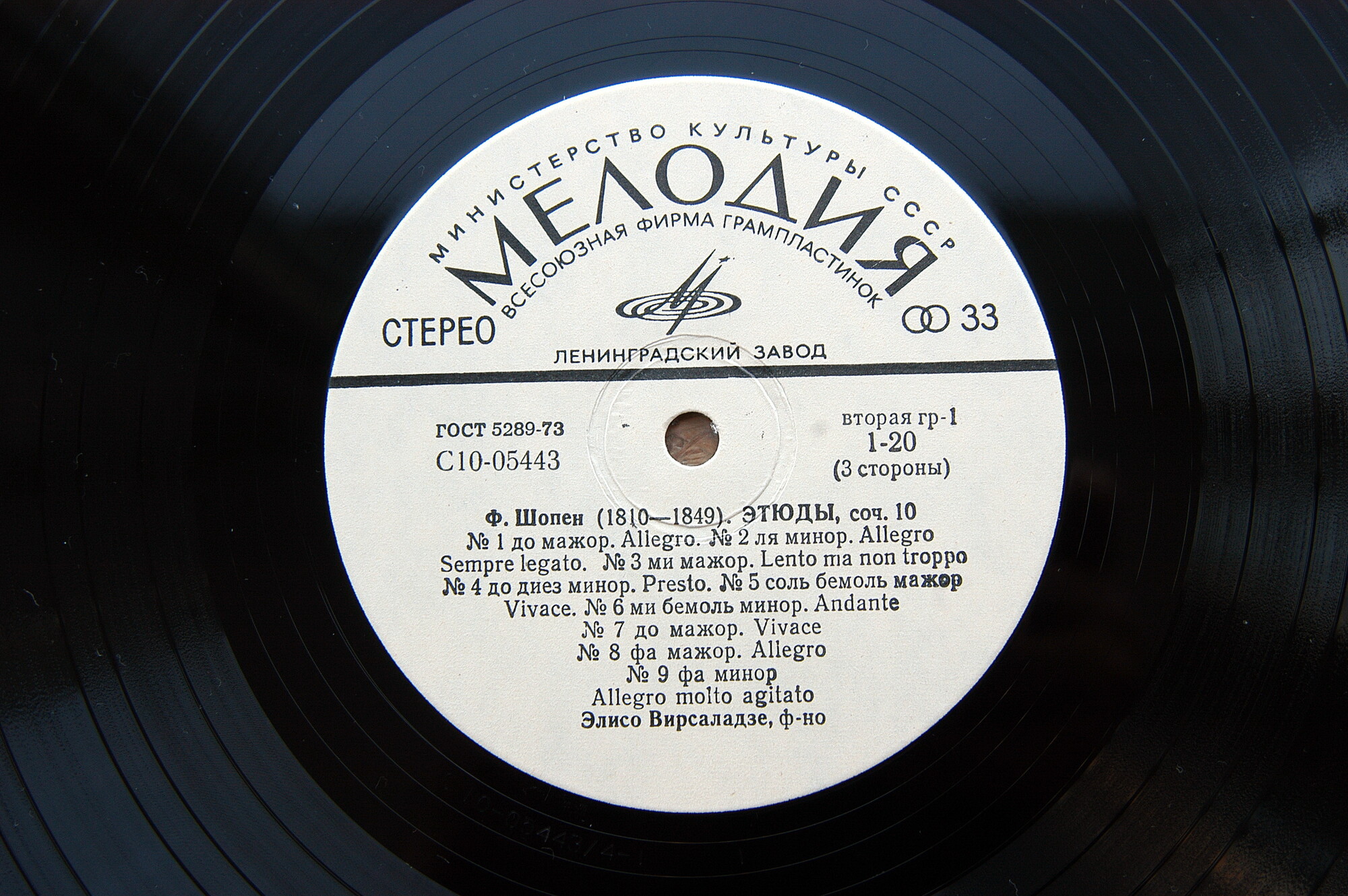 Ф. Шопен (1810 - 1849). Играет Элисо Вирсаладзе