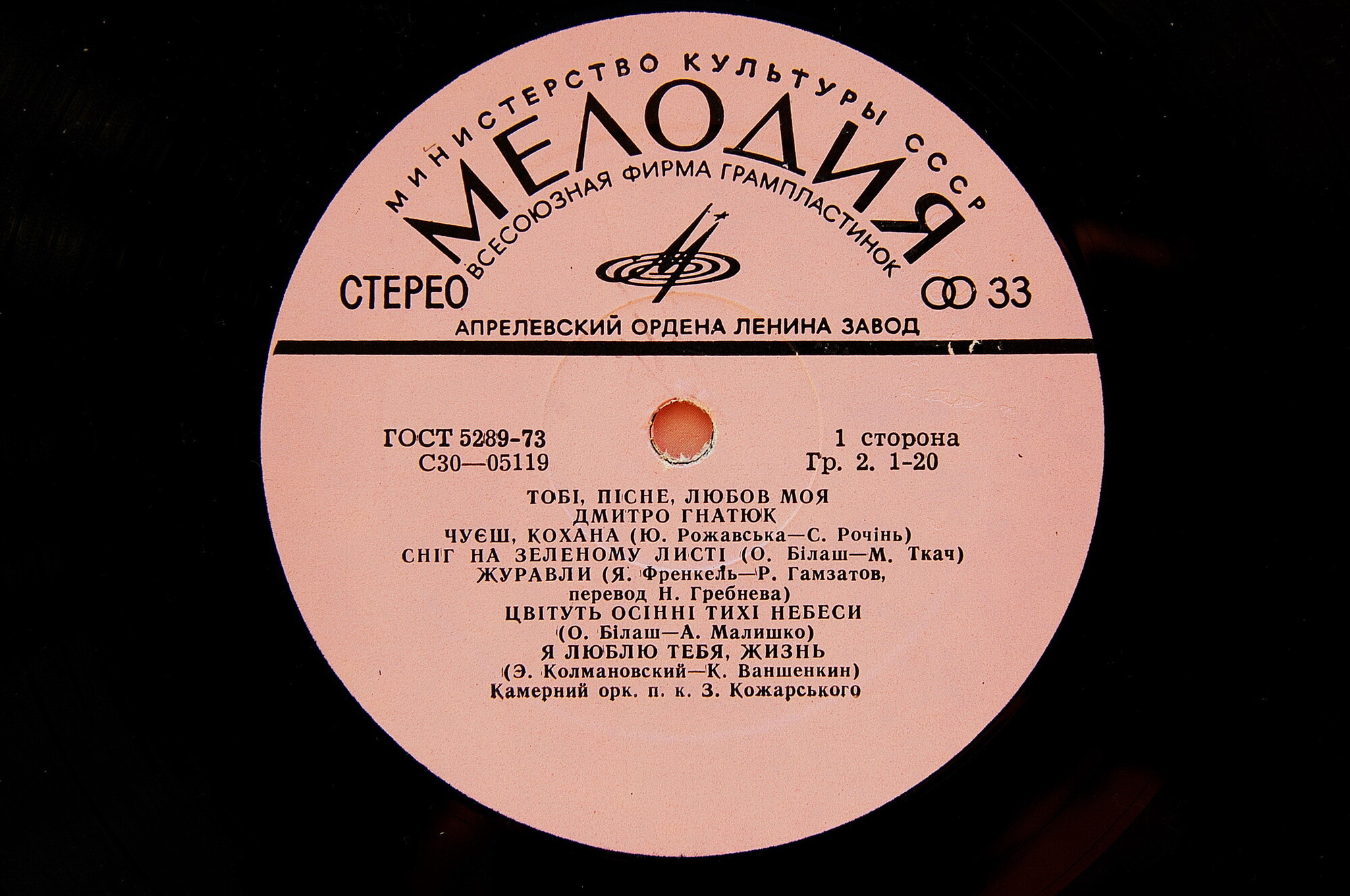 Дмитро Гнатюк. Тобі, пісне, любов моя