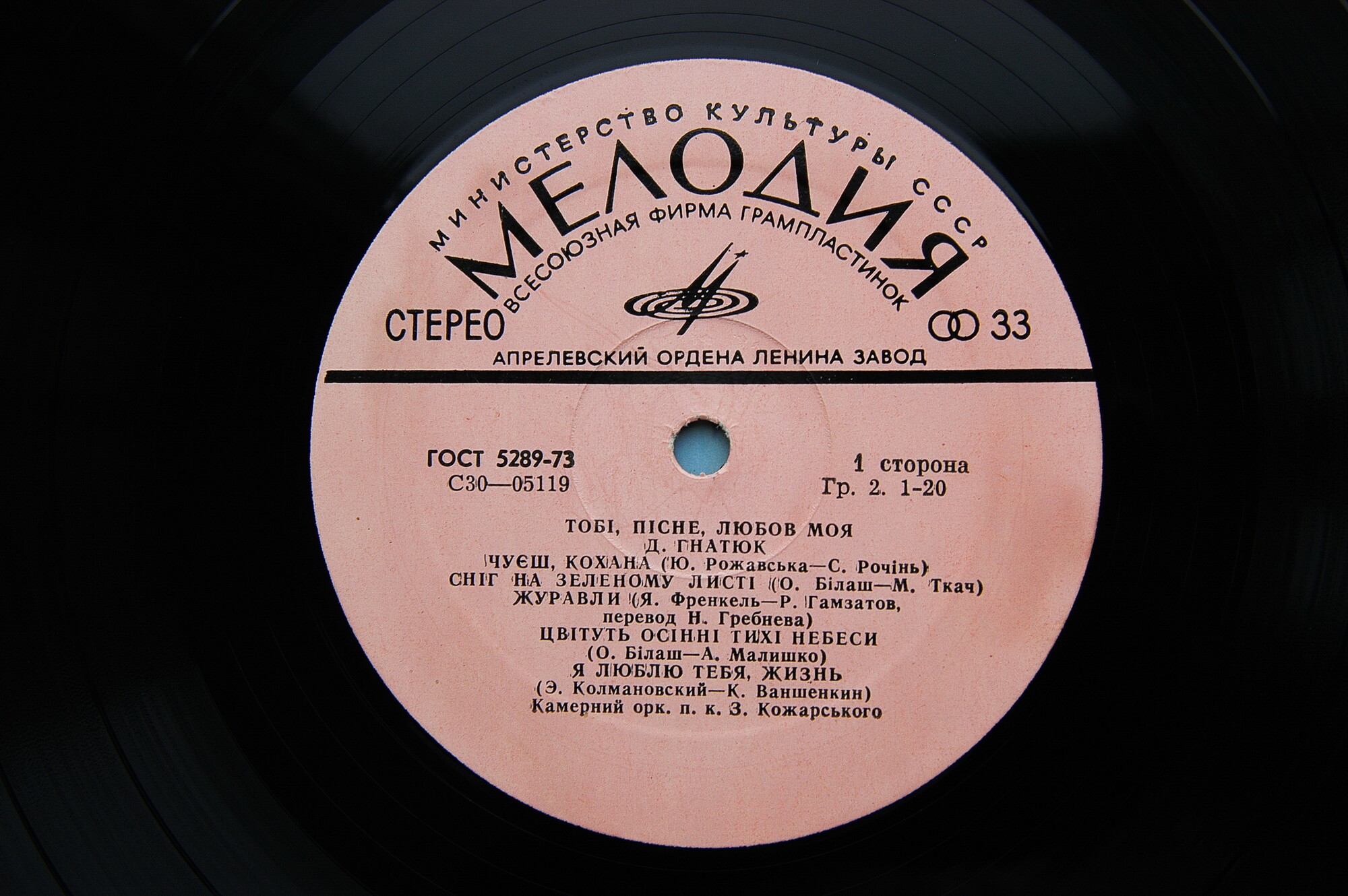 Дмитро Гнатюк. Тобі, пісне, любов моя