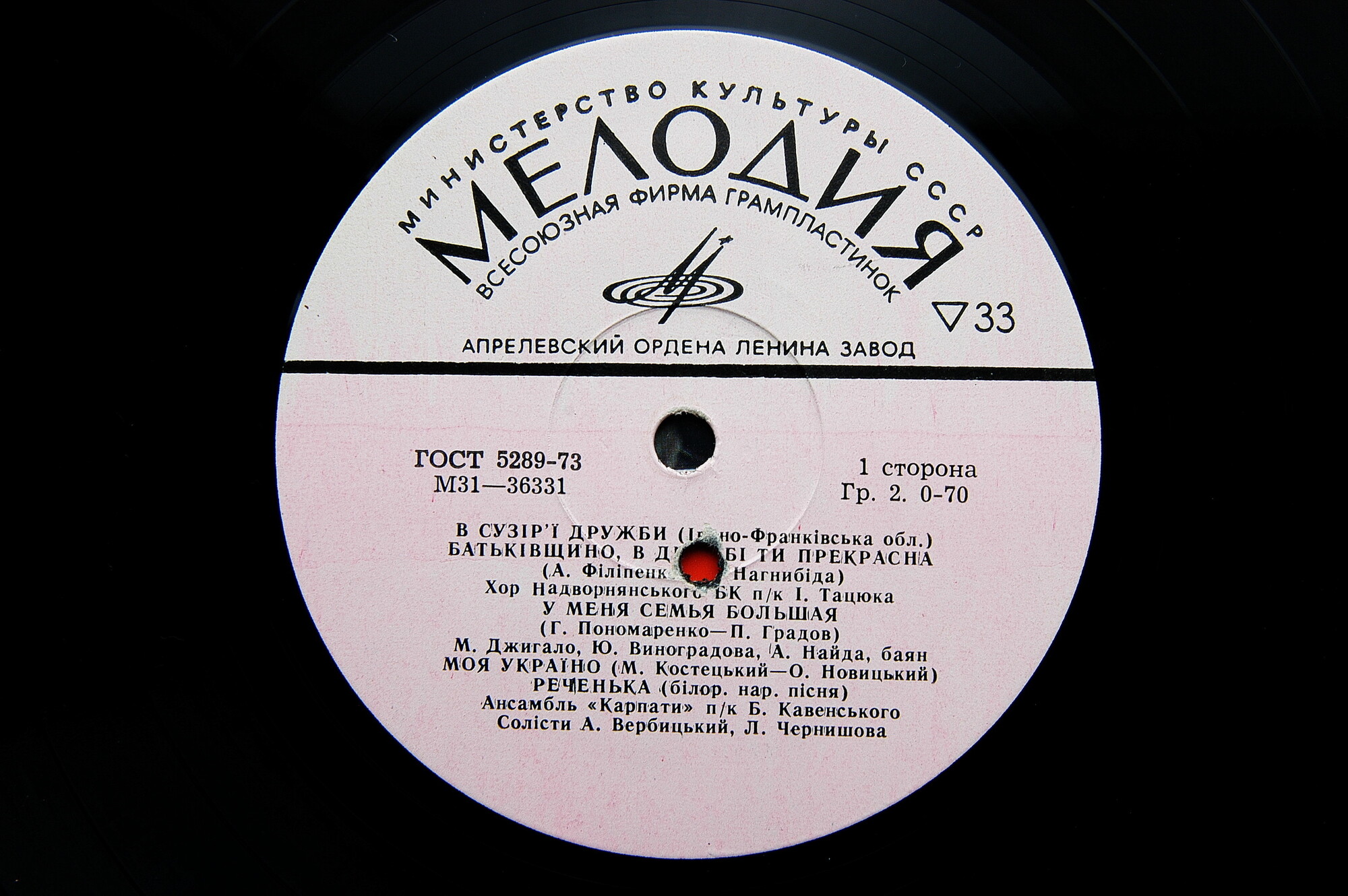 В СУЗIР'Ї ДРУЖБИ   (В созвездии дружбы). Ивано-Франковская область