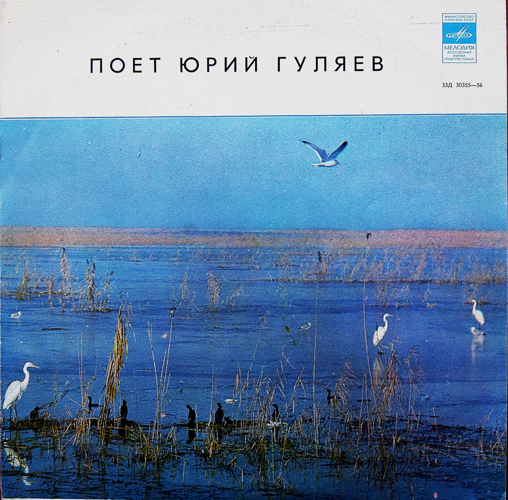 Юрий ГУЛЯЕВ