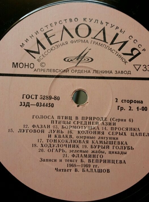 ГОЛОСА ПТИЦ В ПРИРОДЕ. Средняя Азия (6 серия)