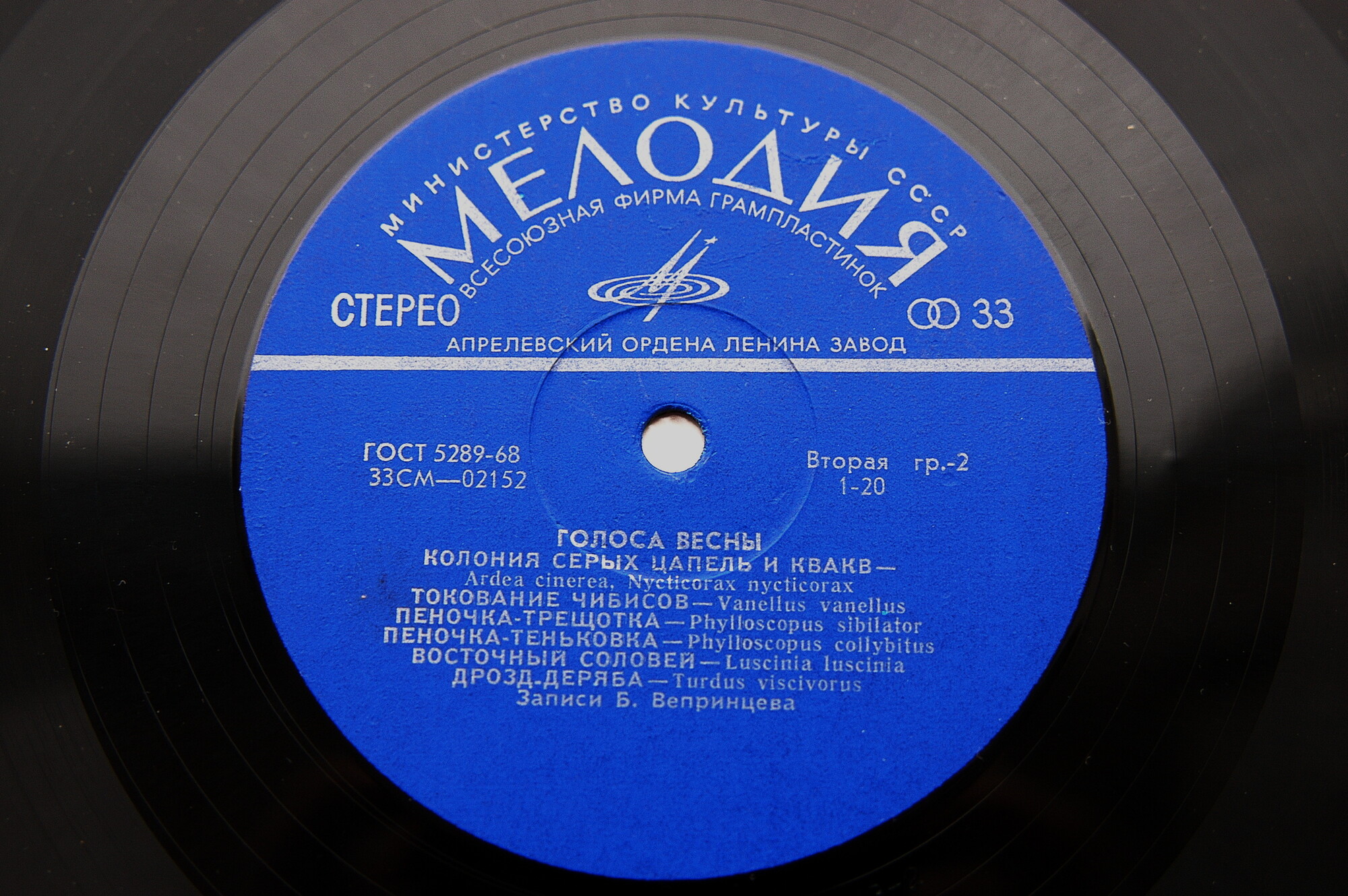 ГОЛОСА ВЕСНЫ  (записи пения и голосов птиц)
