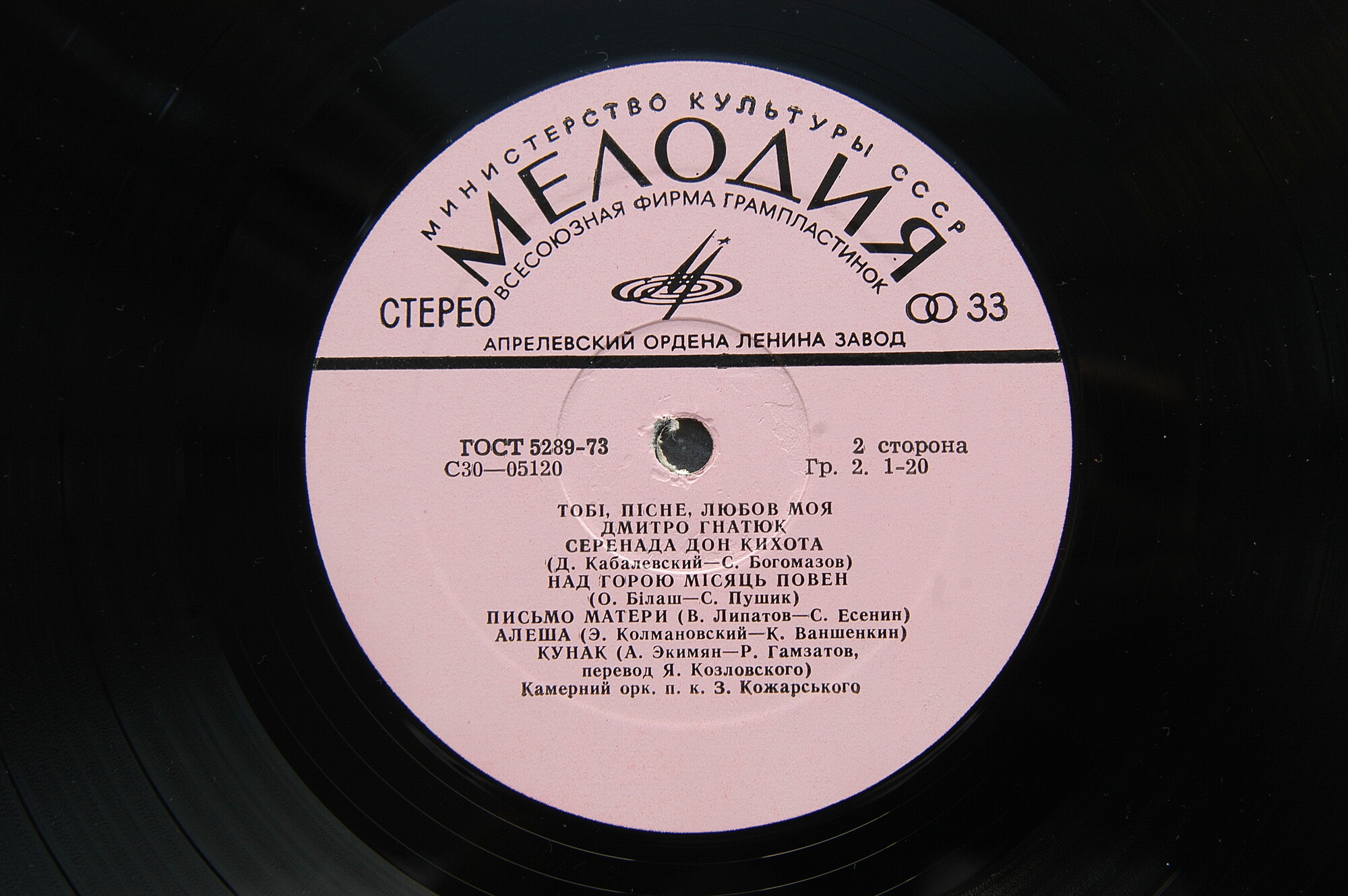 Дмитро Гнатюк. Тобі, пісне, любов моя