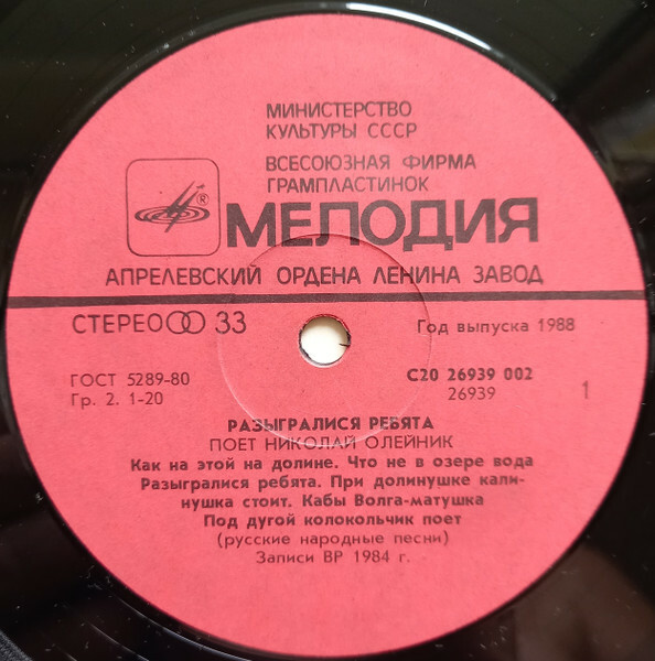 Поет Николай ОЛЕЙНИК. «Разыгралися ребята»