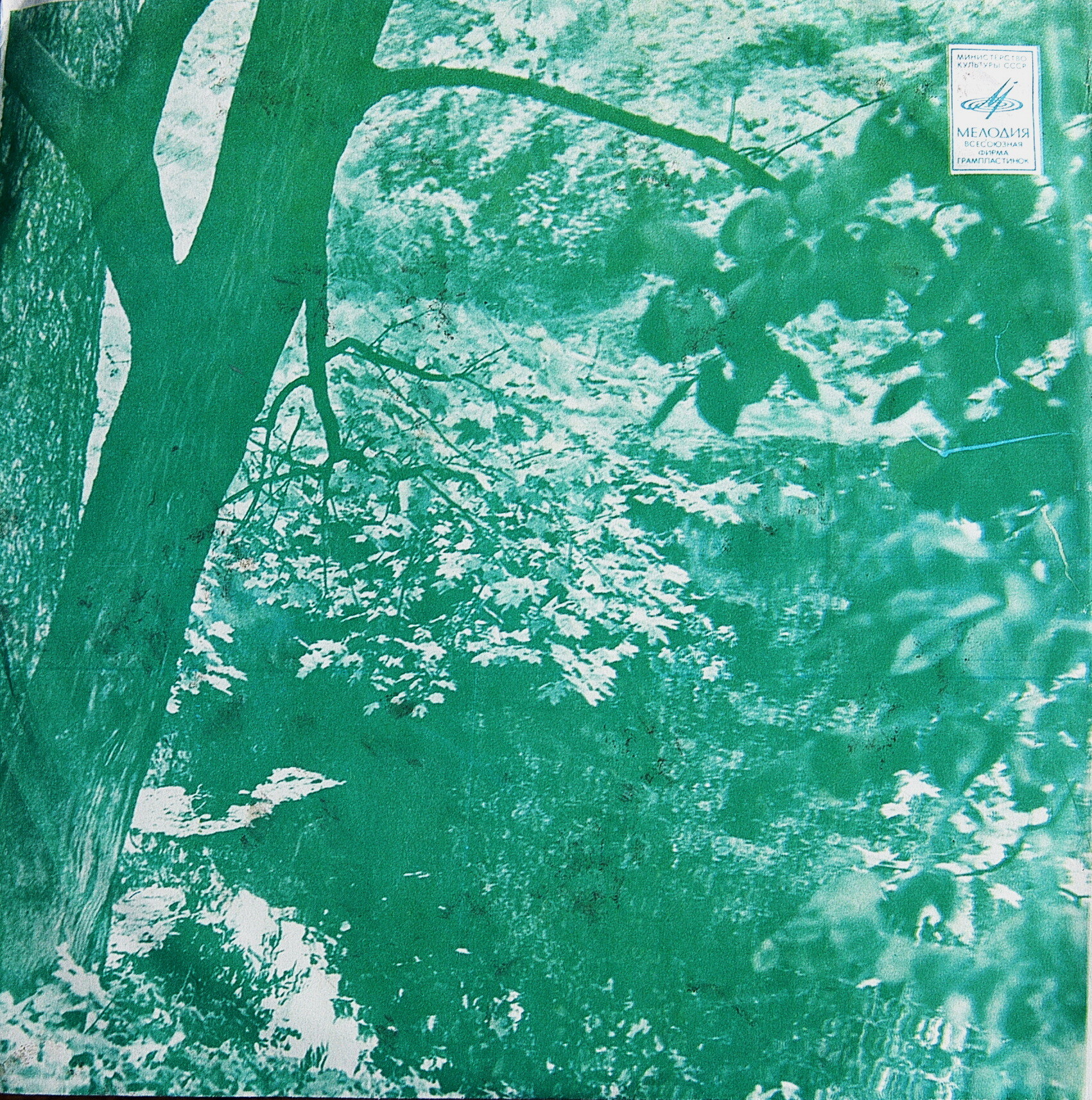 Мария ЛУКАЧ