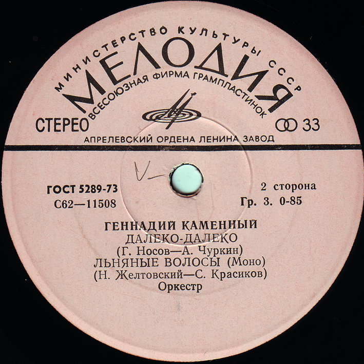 Поет Геннадий Каменный