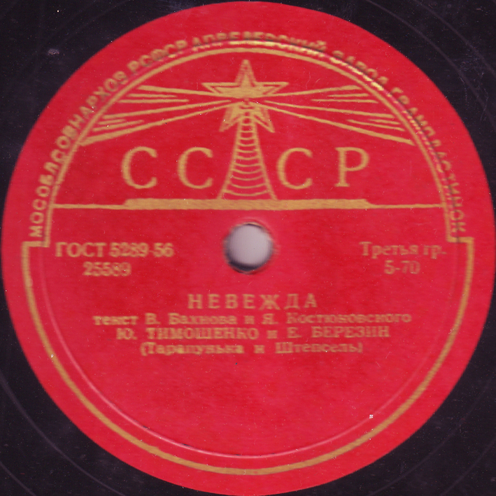 Ю. Тимошенко и Е. Березин