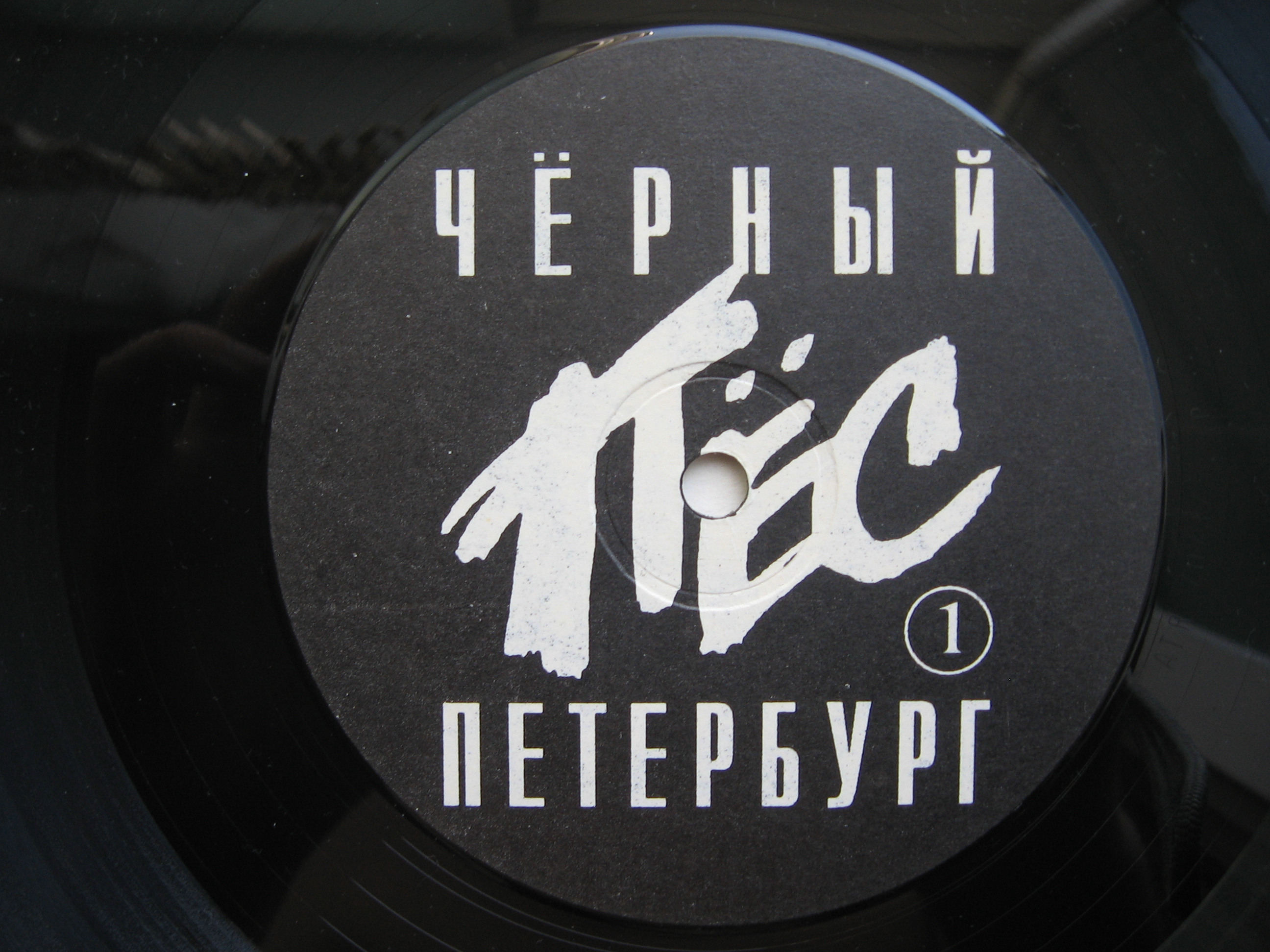 ГРУППА «ДДТ». «Черный пес Петербург»