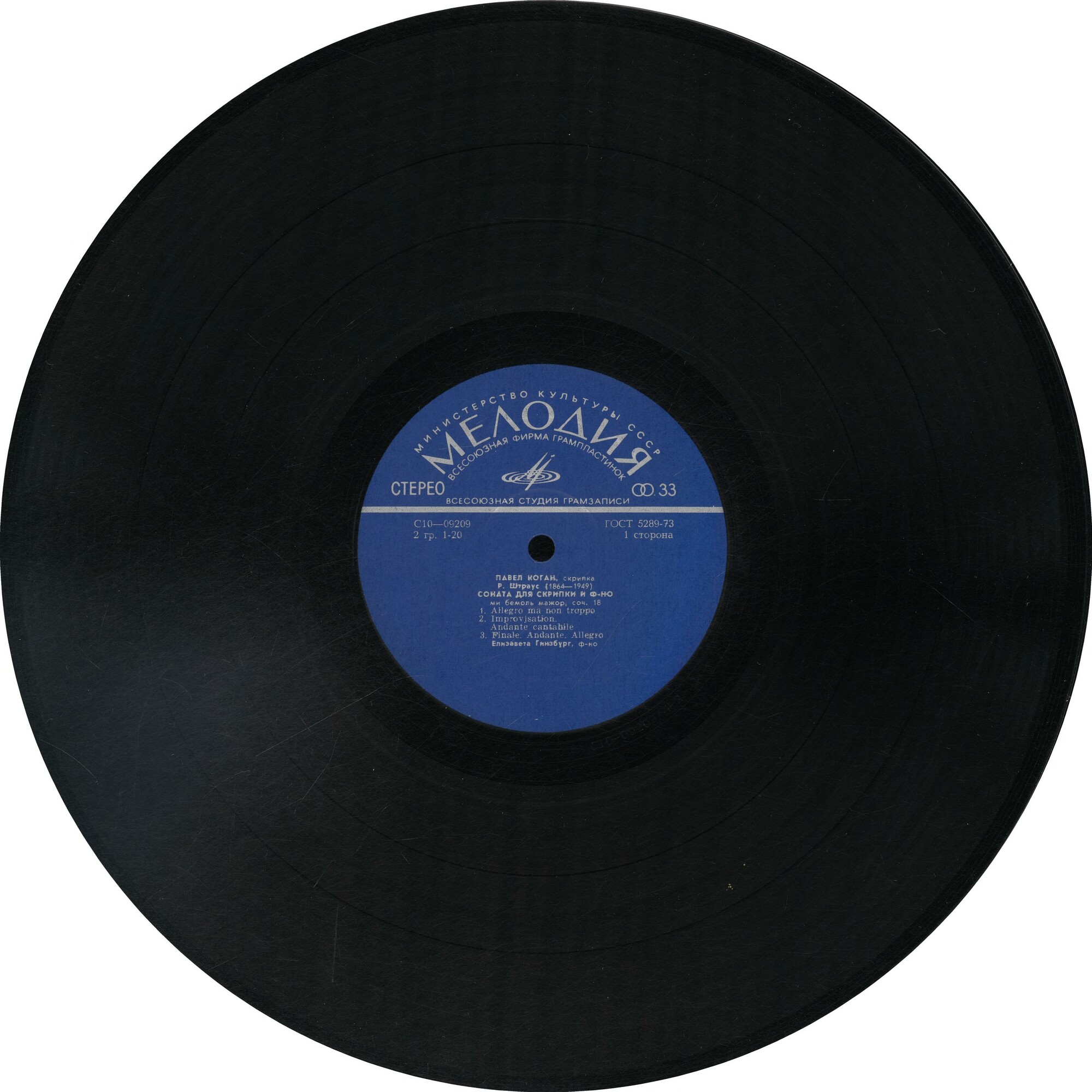 Павел Коган (скрипка)