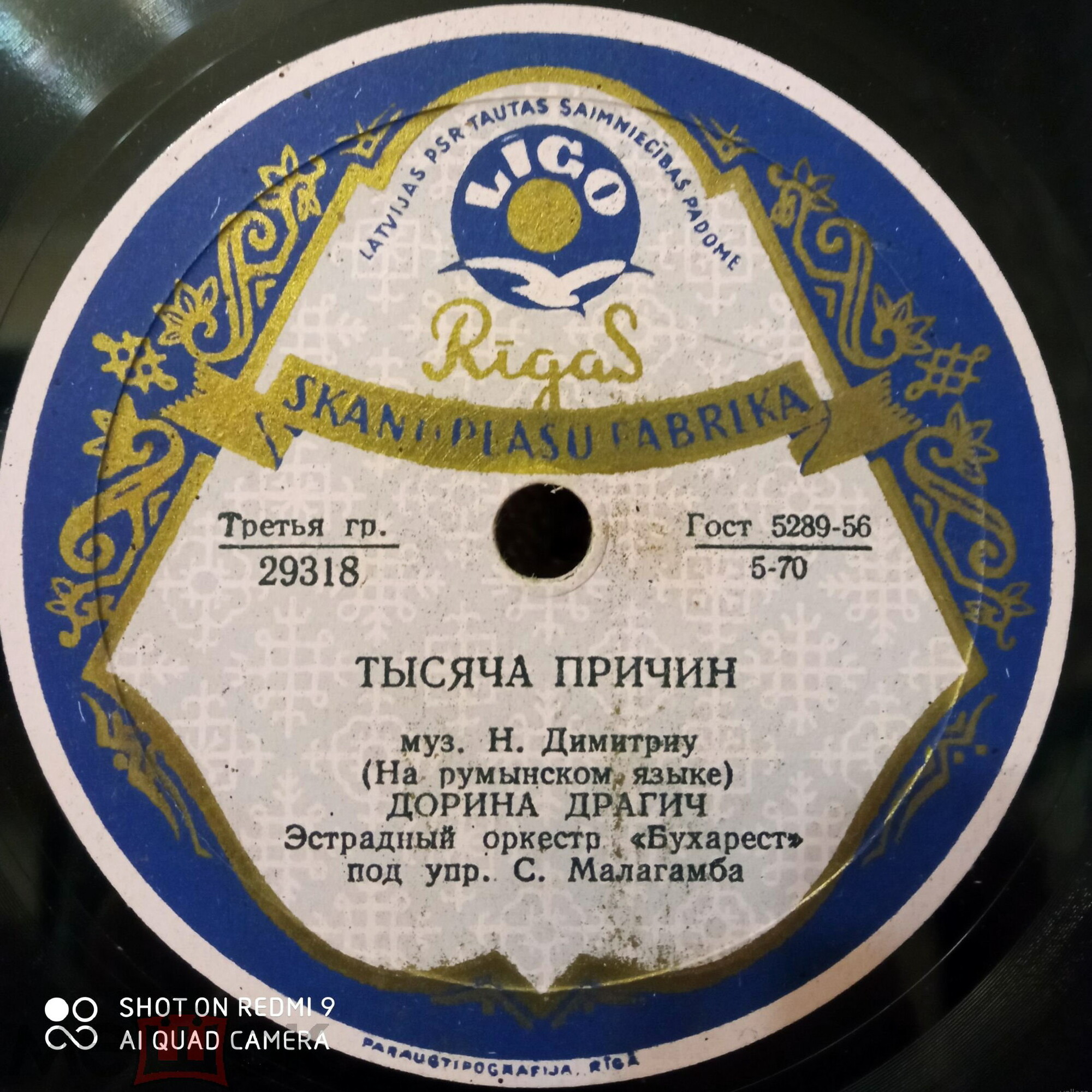 Дорина Драгич (Румыния)