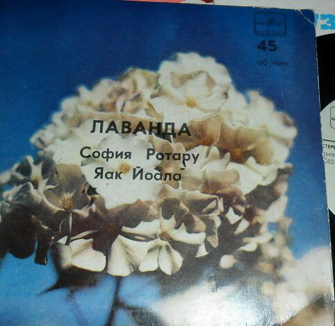 София Ротару и Яак Йоала. Лаванда [По вашим письмам]