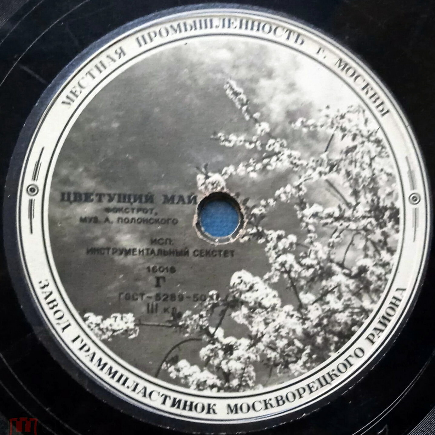 Инстр. ансамбль - Тополь / Цветущий май