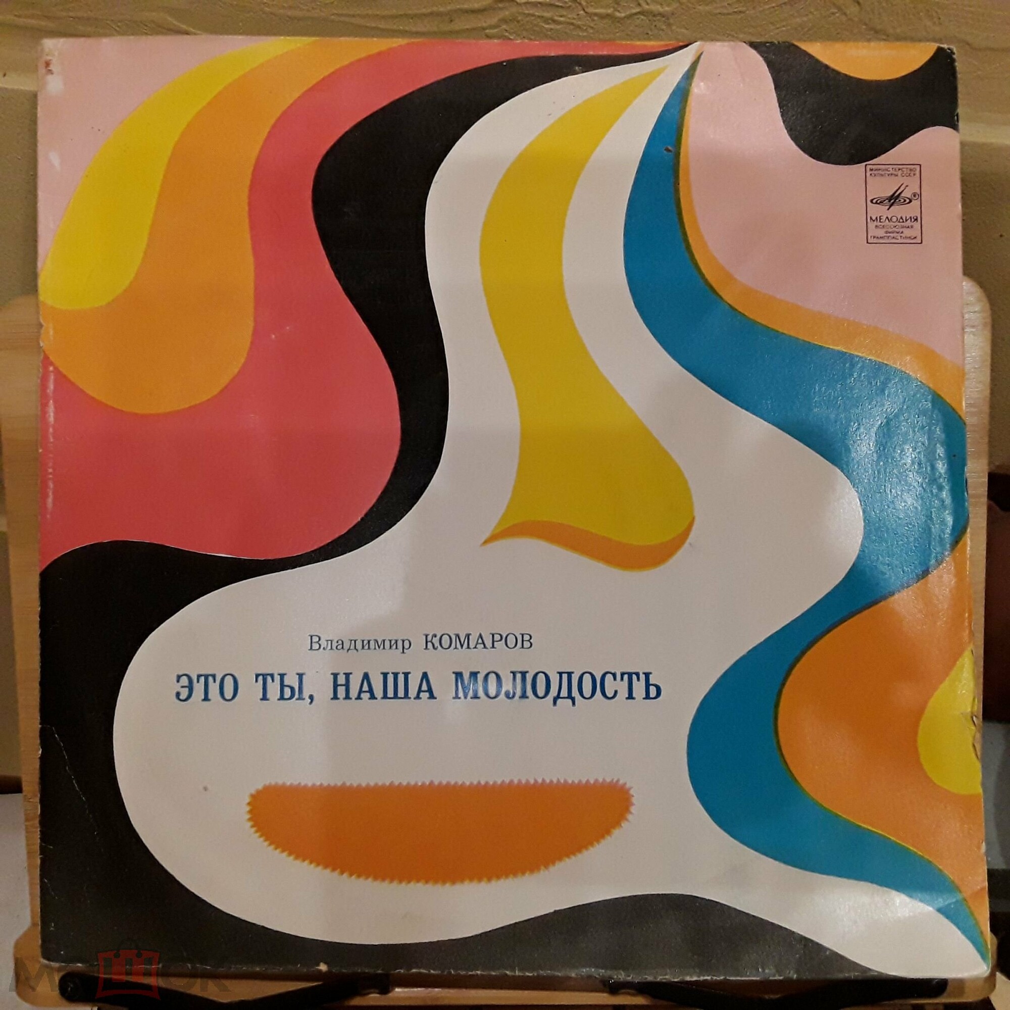 Владимир Комаров. «Это ты, наша молодость»