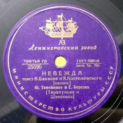 Ю. Тимошенко и Е. Березин