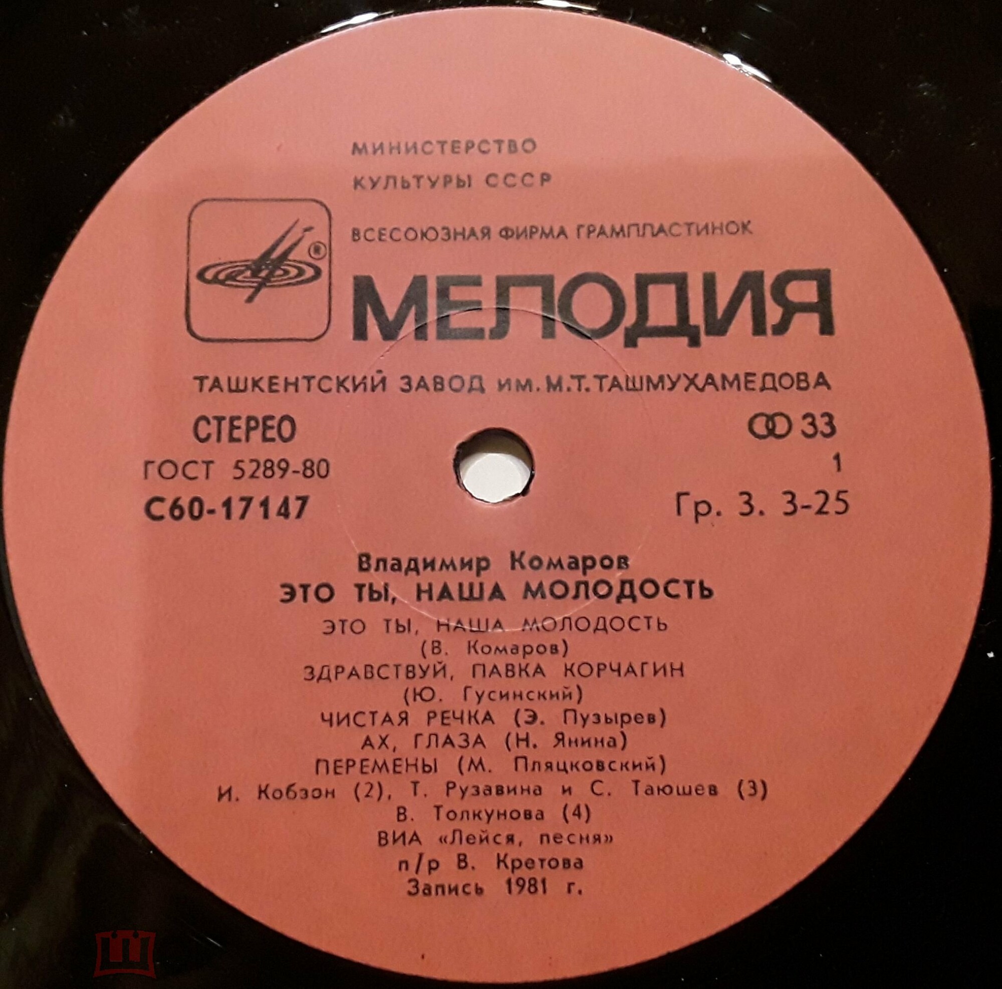 Владимир Комаров. «Это ты, наша молодость»