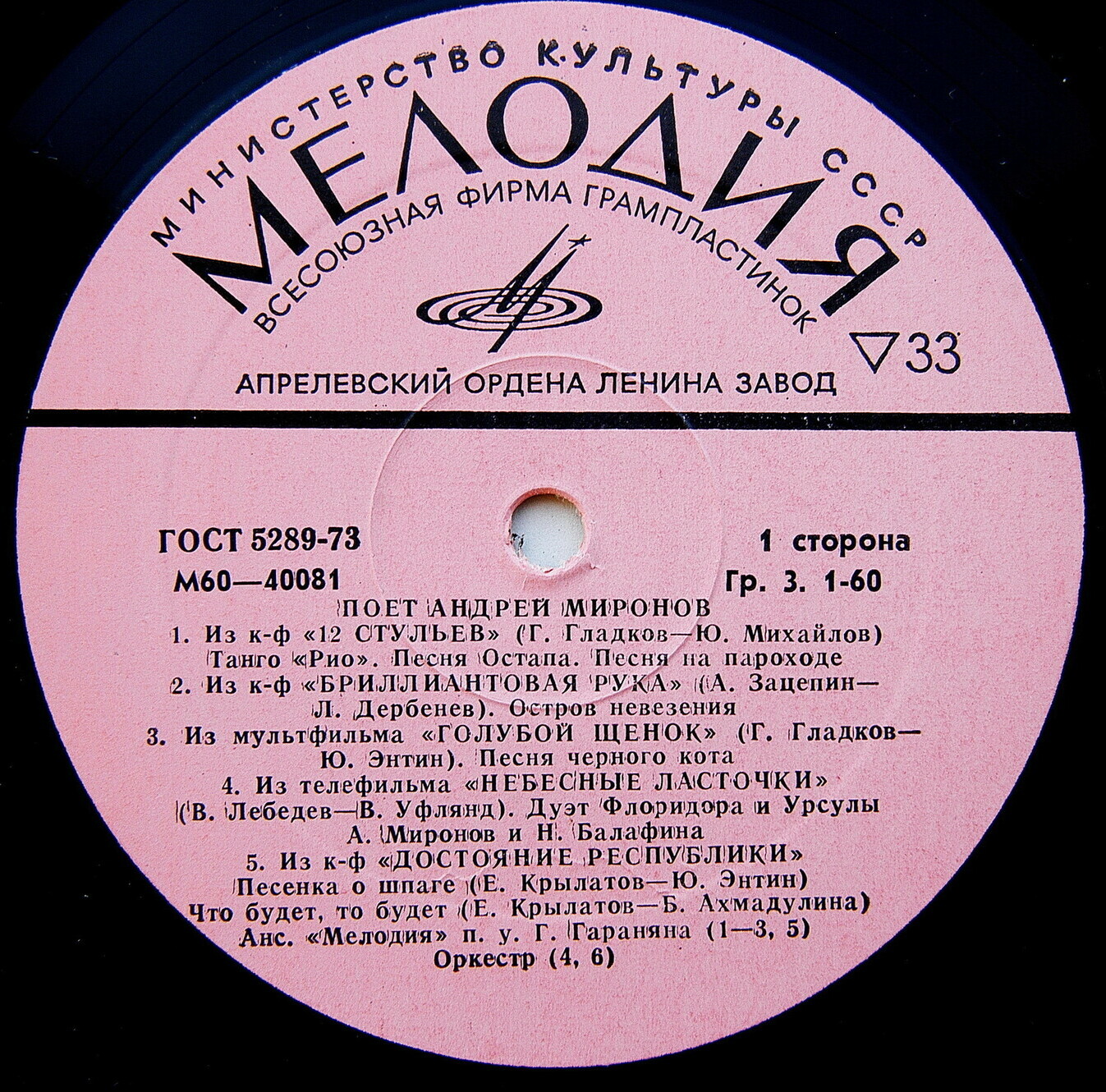 Поет Андрей Миронов