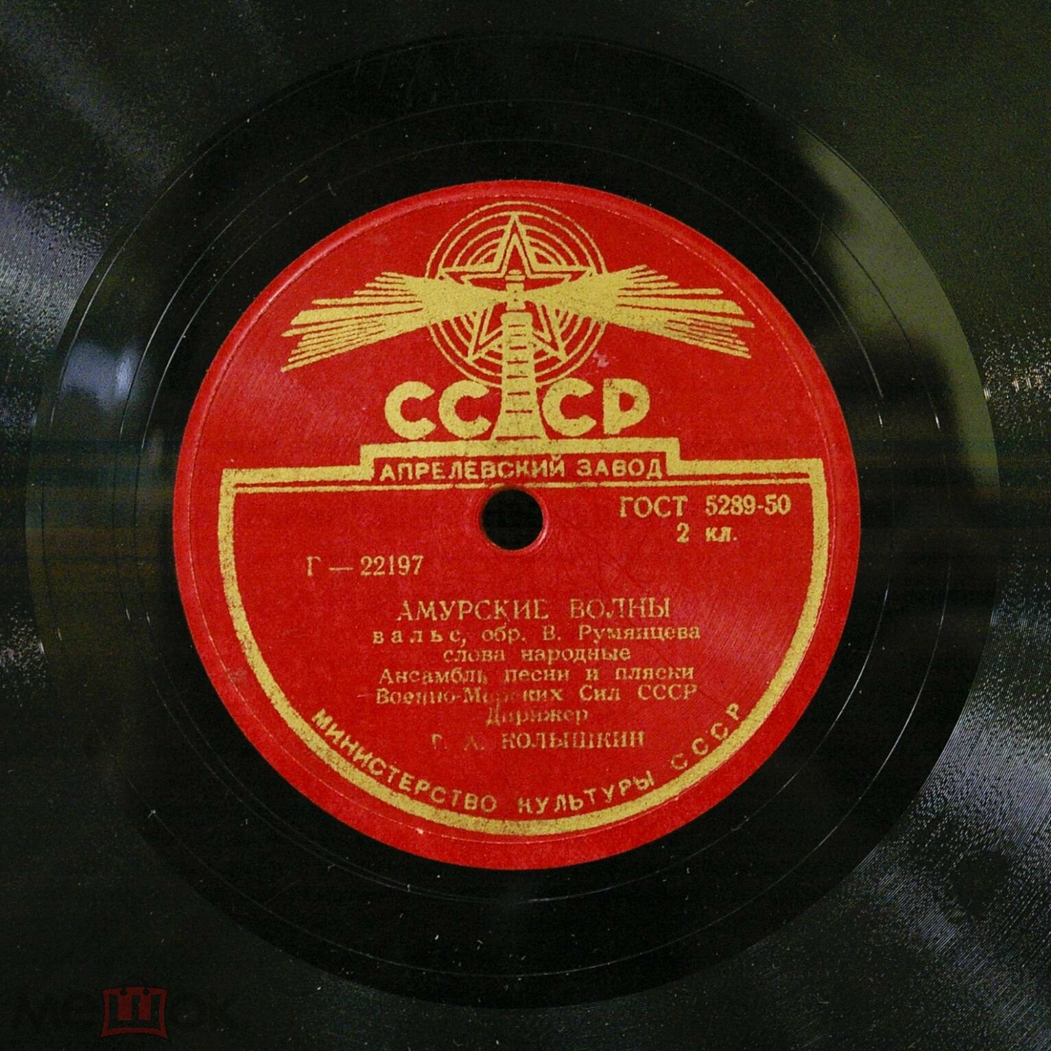 Амурские волны / Над волнами