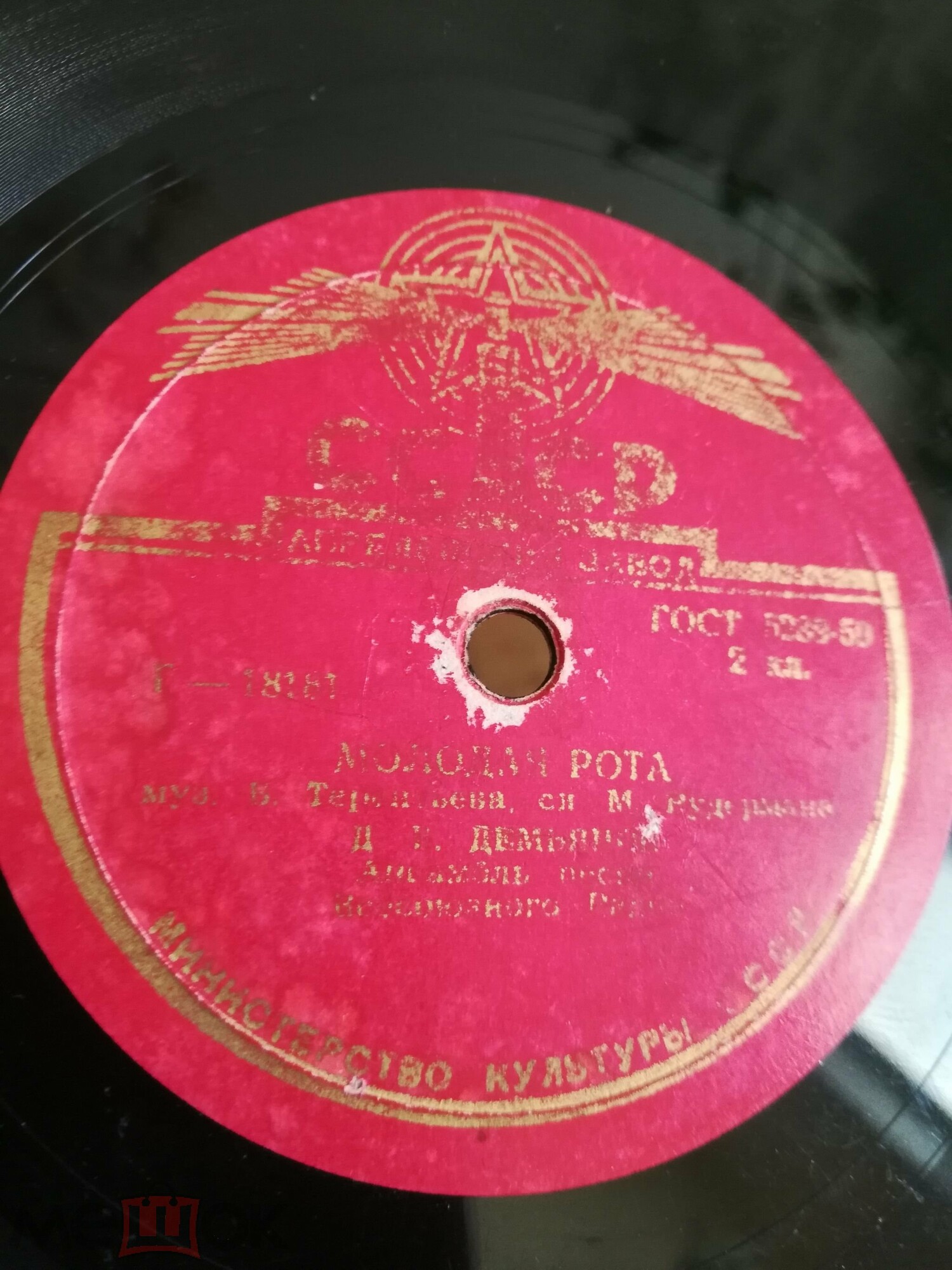 Шли бойцы / Молодая рота