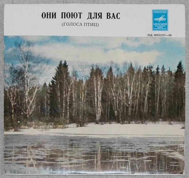 Они поют для вас