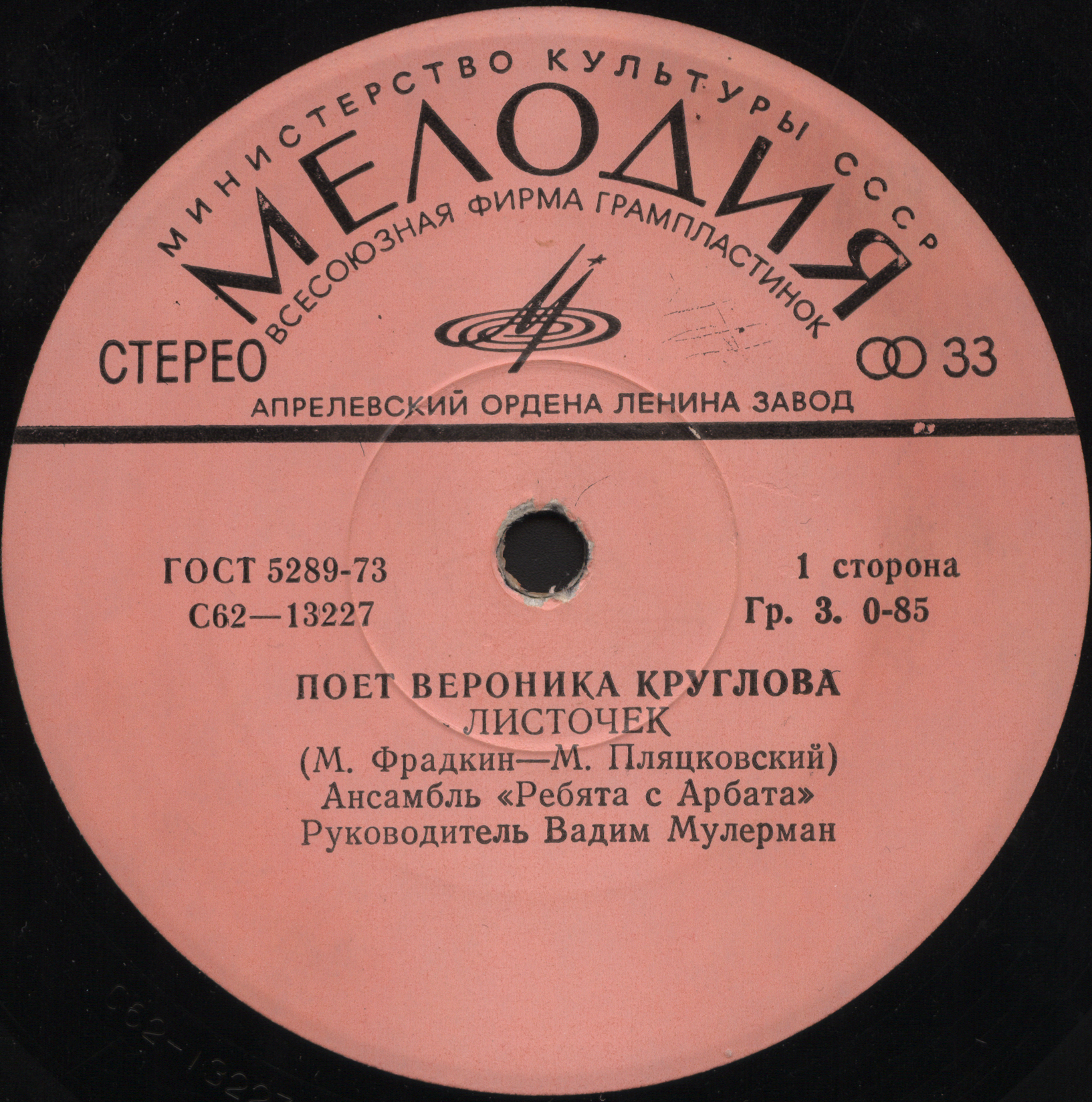 Поет Вероника Круглова