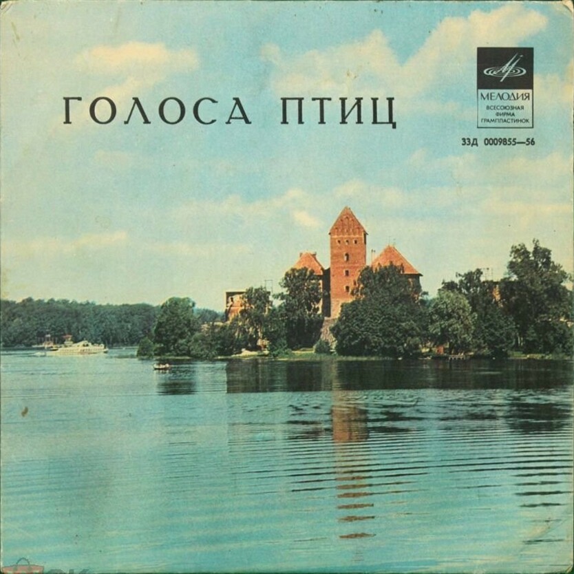 Голоса птиц