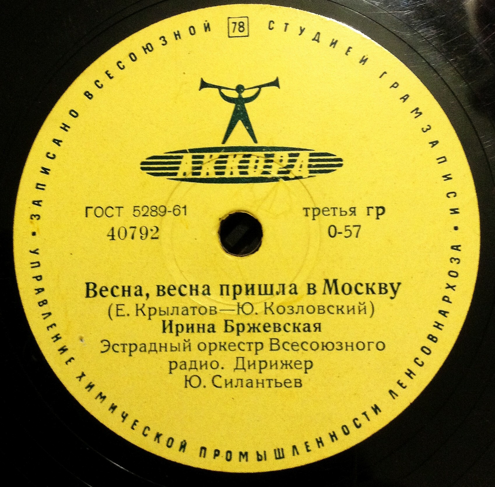Ирина Бржевская