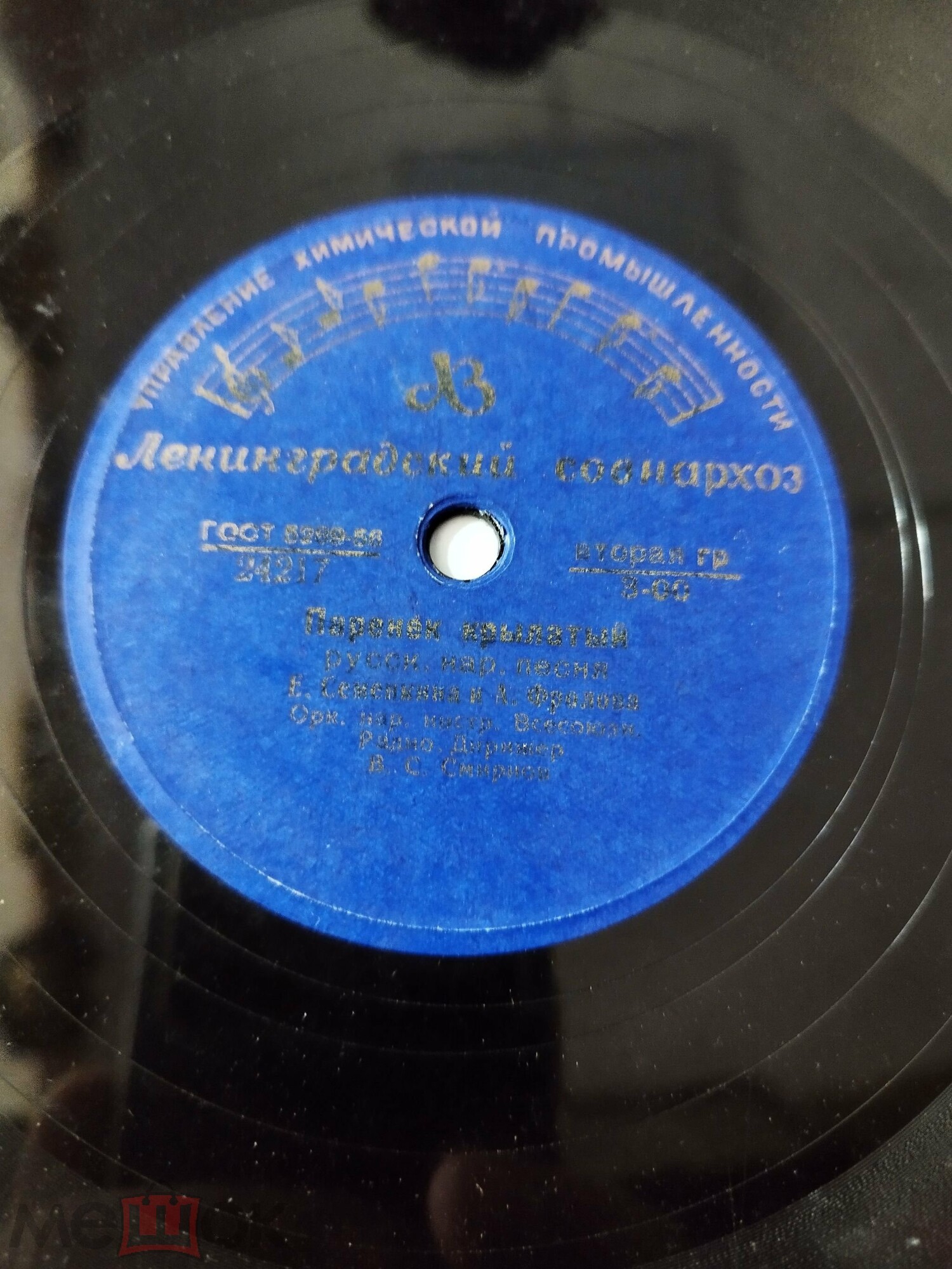 Е.Семенкина и А.Фролова