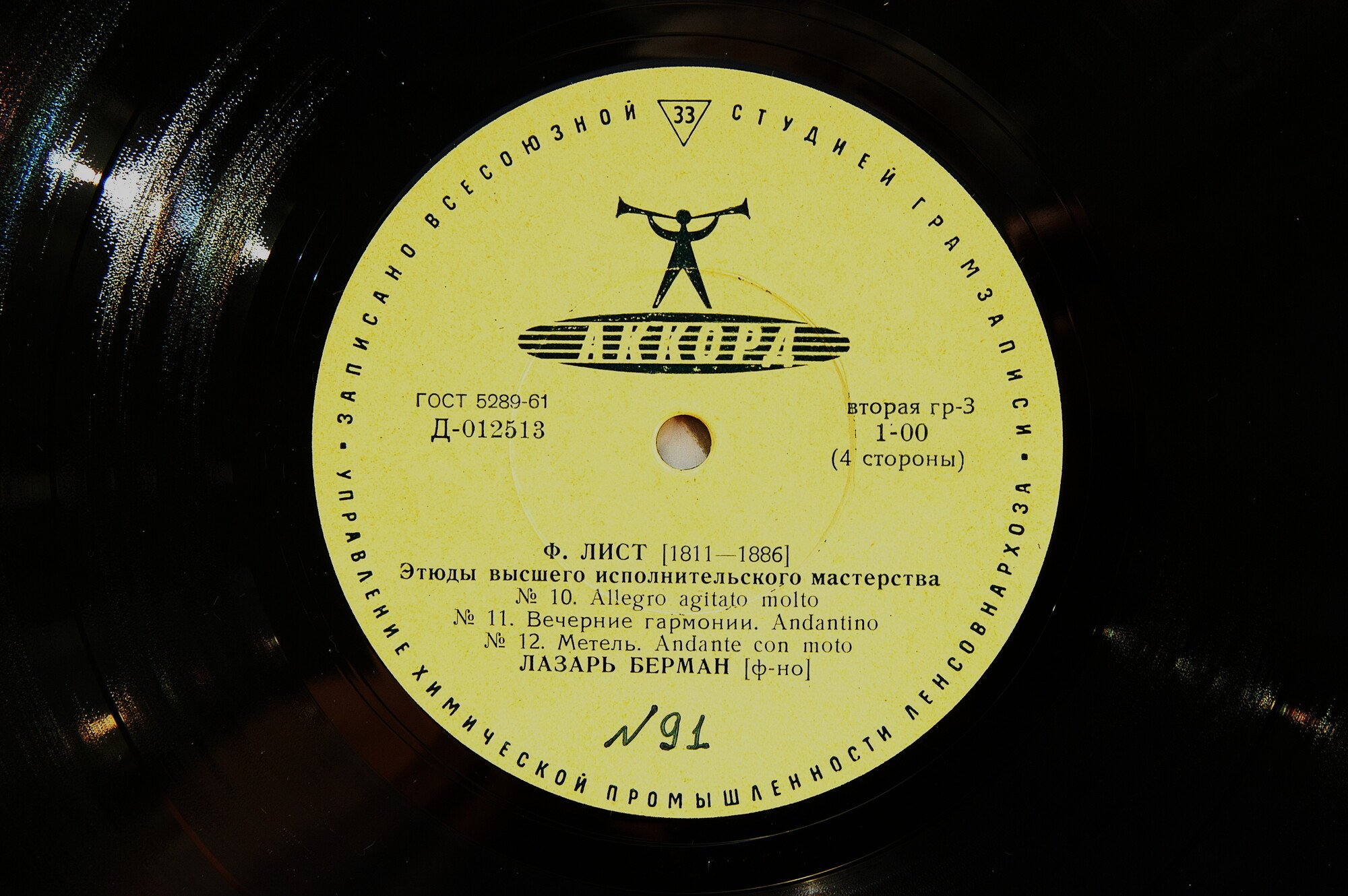 Ф. ЛИСТ Этюды высшего исполнительского мастерства (Лазарь Берман, ф-но)