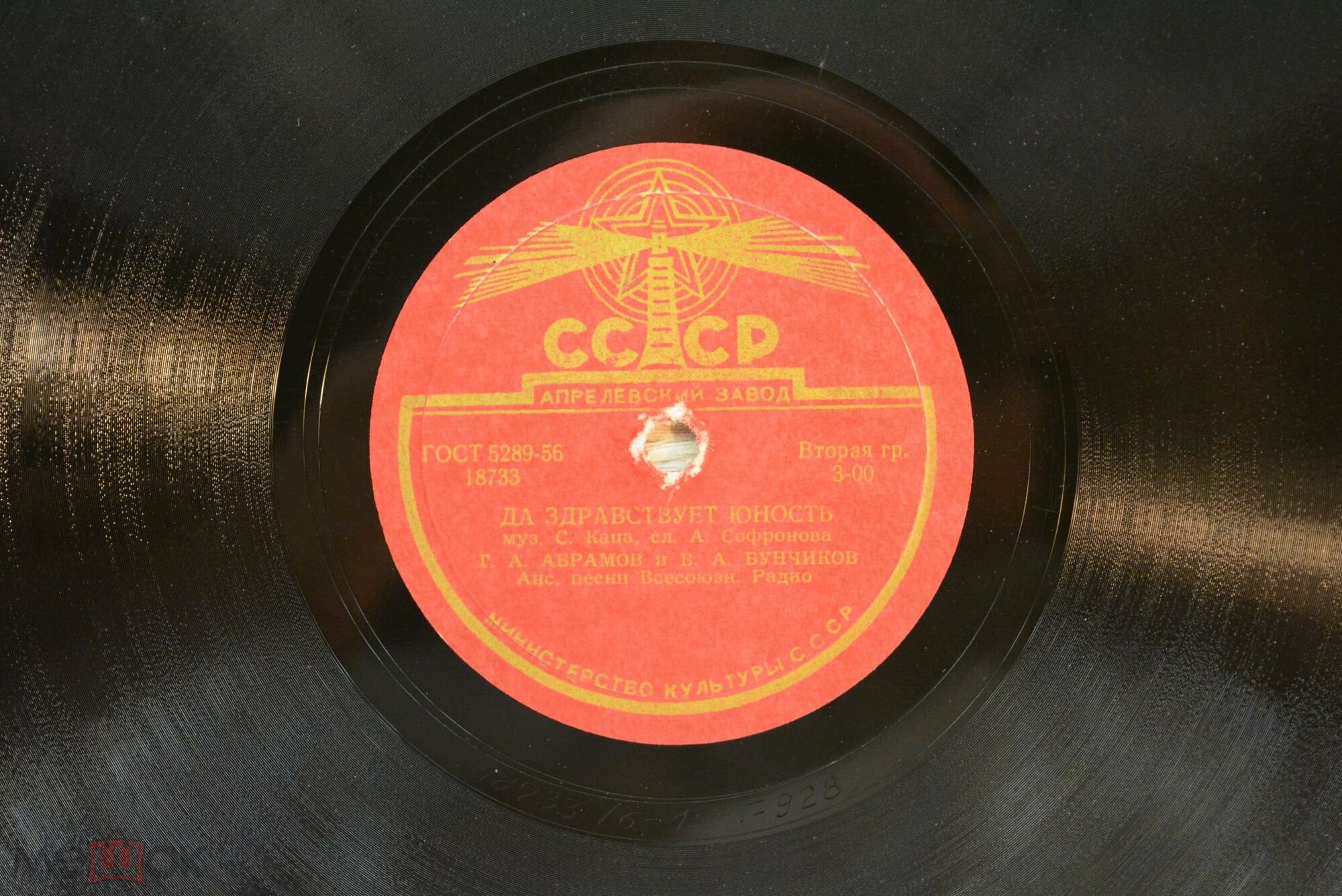 Да здравствует юность / Дозорная