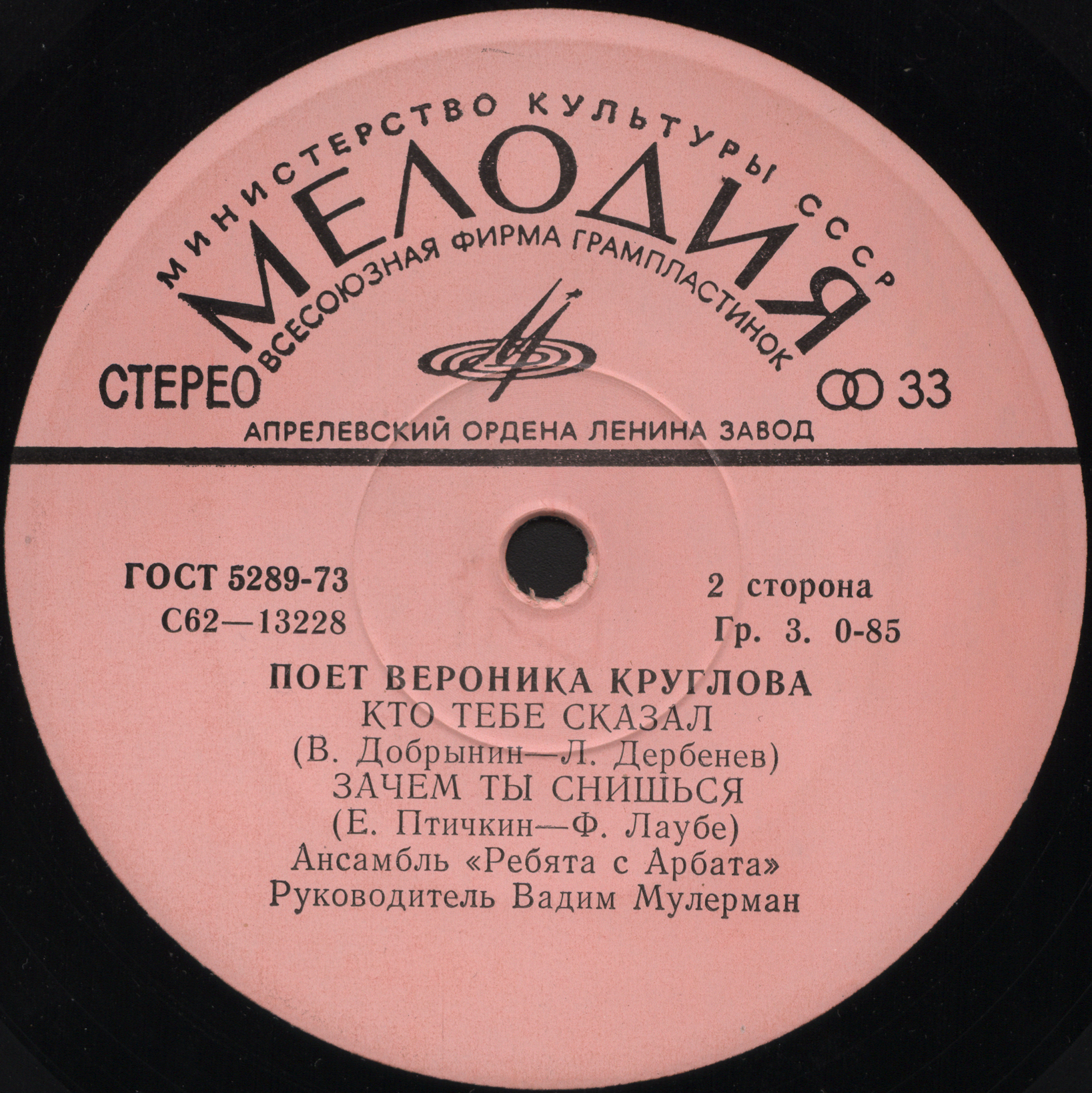Поет Вероника Круглова