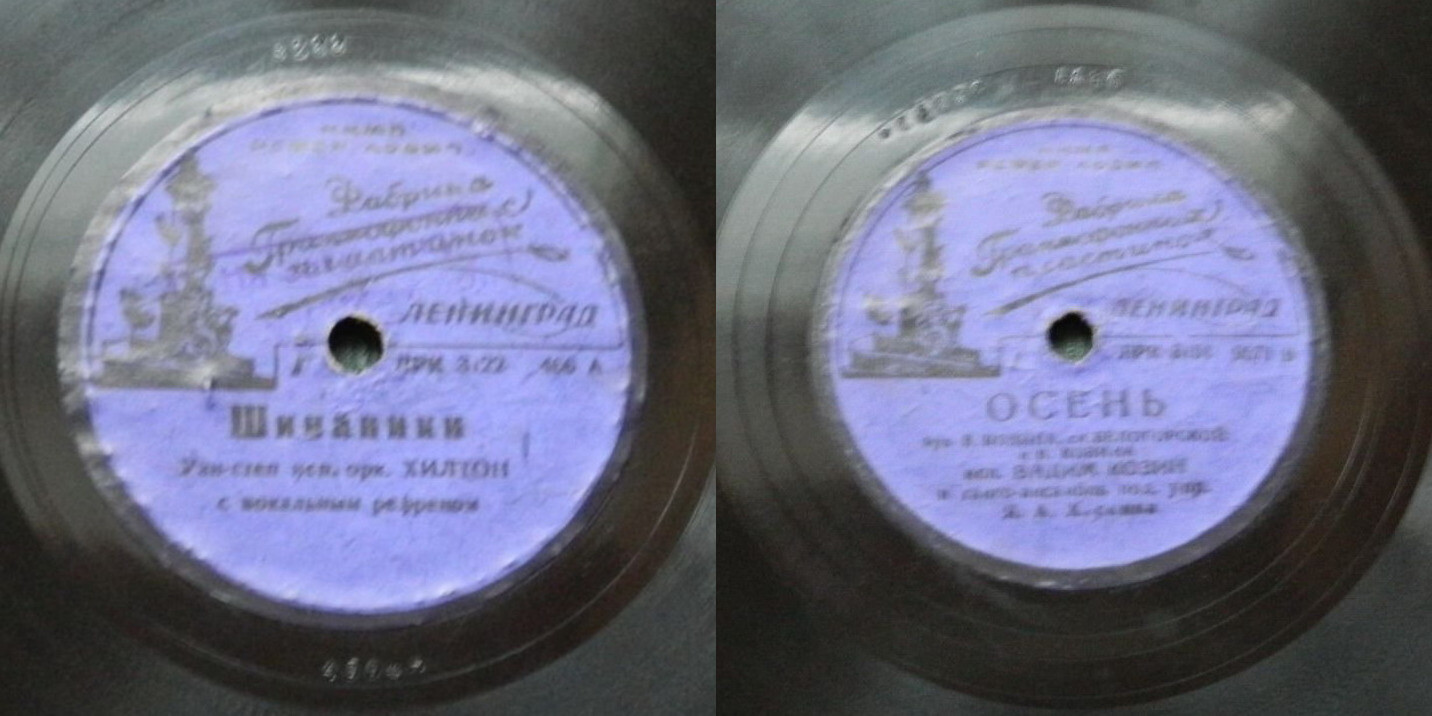 Шинаники // Осень