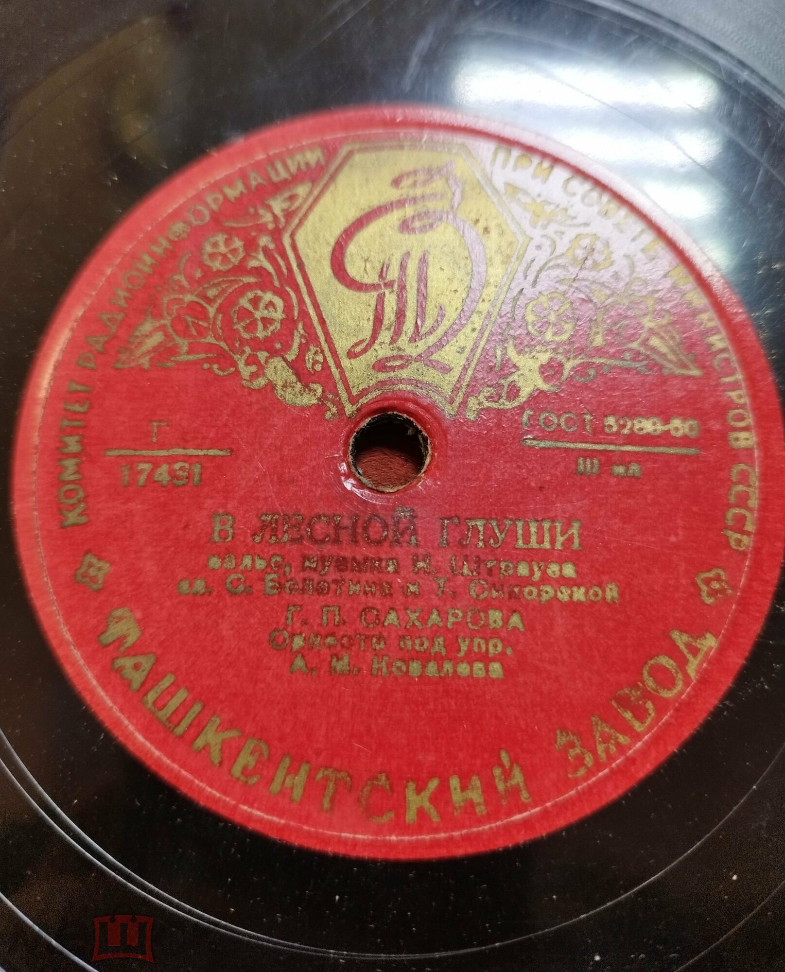 Г. П. Сахарова - Первый бал / В лесной глуши