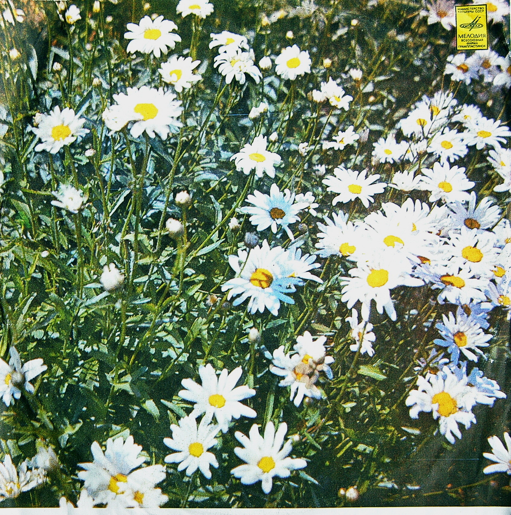 Алексей Мажуков. Песни, оркестровые пьесы