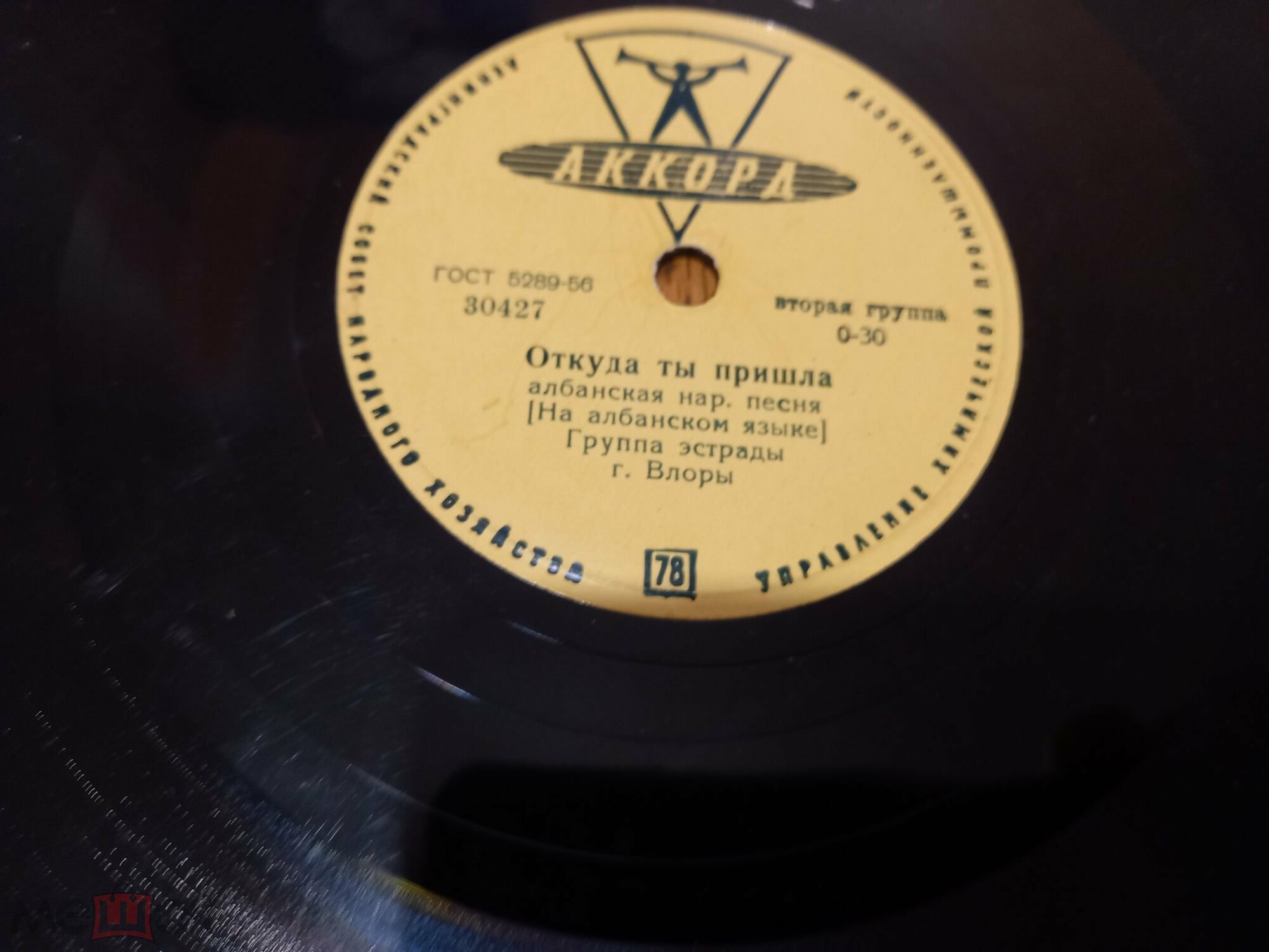 Подснежник / Откуда ты пришла