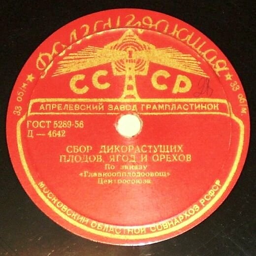 Сбор дикорастущих плодов, ягод и орехов / Собирайте и сушите грибы