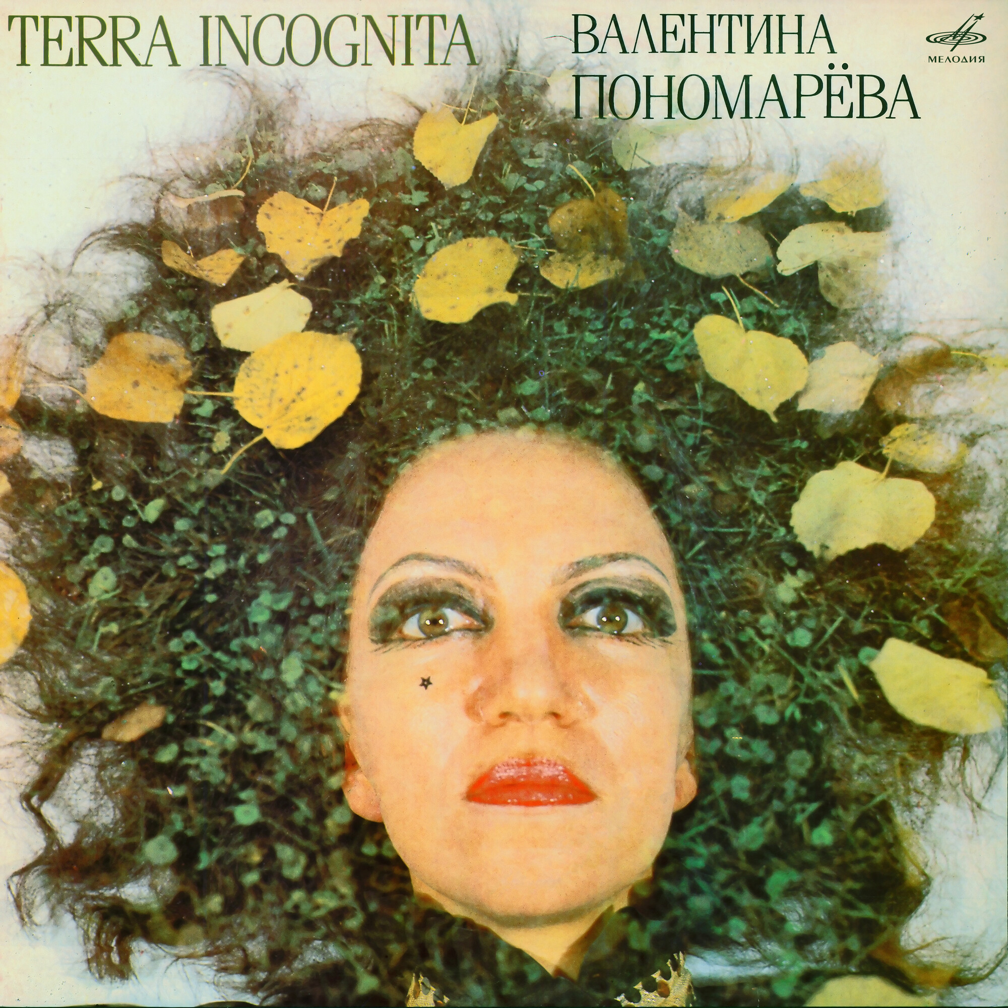 Terra Incognita. Валентина ПОНОМАРЕВА