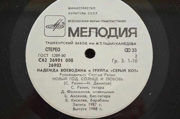 Надежда Воеводина. Дебют