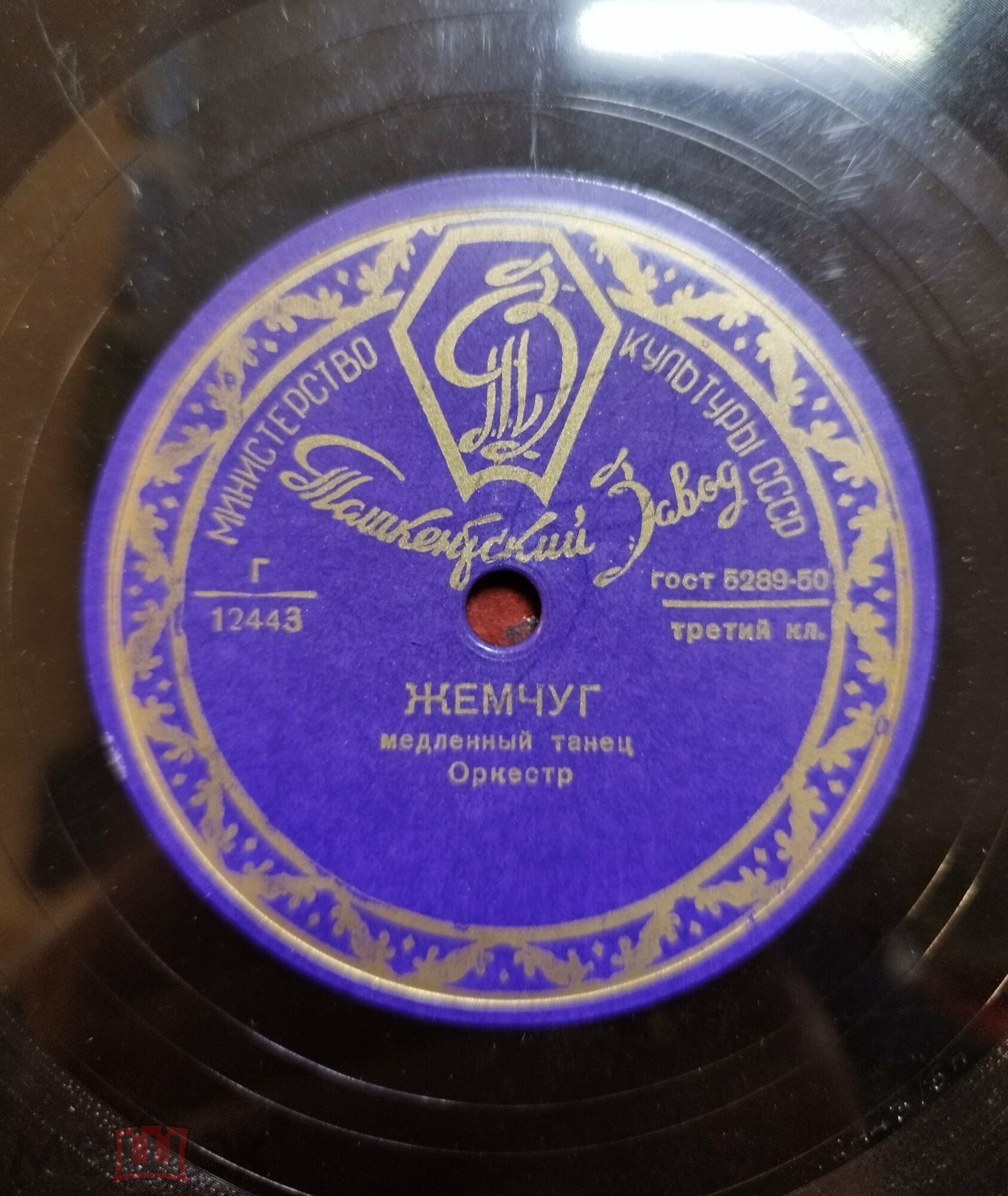 Жемчуг / Букет роз