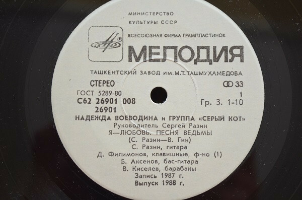 Надежда Воеводина. Дебют