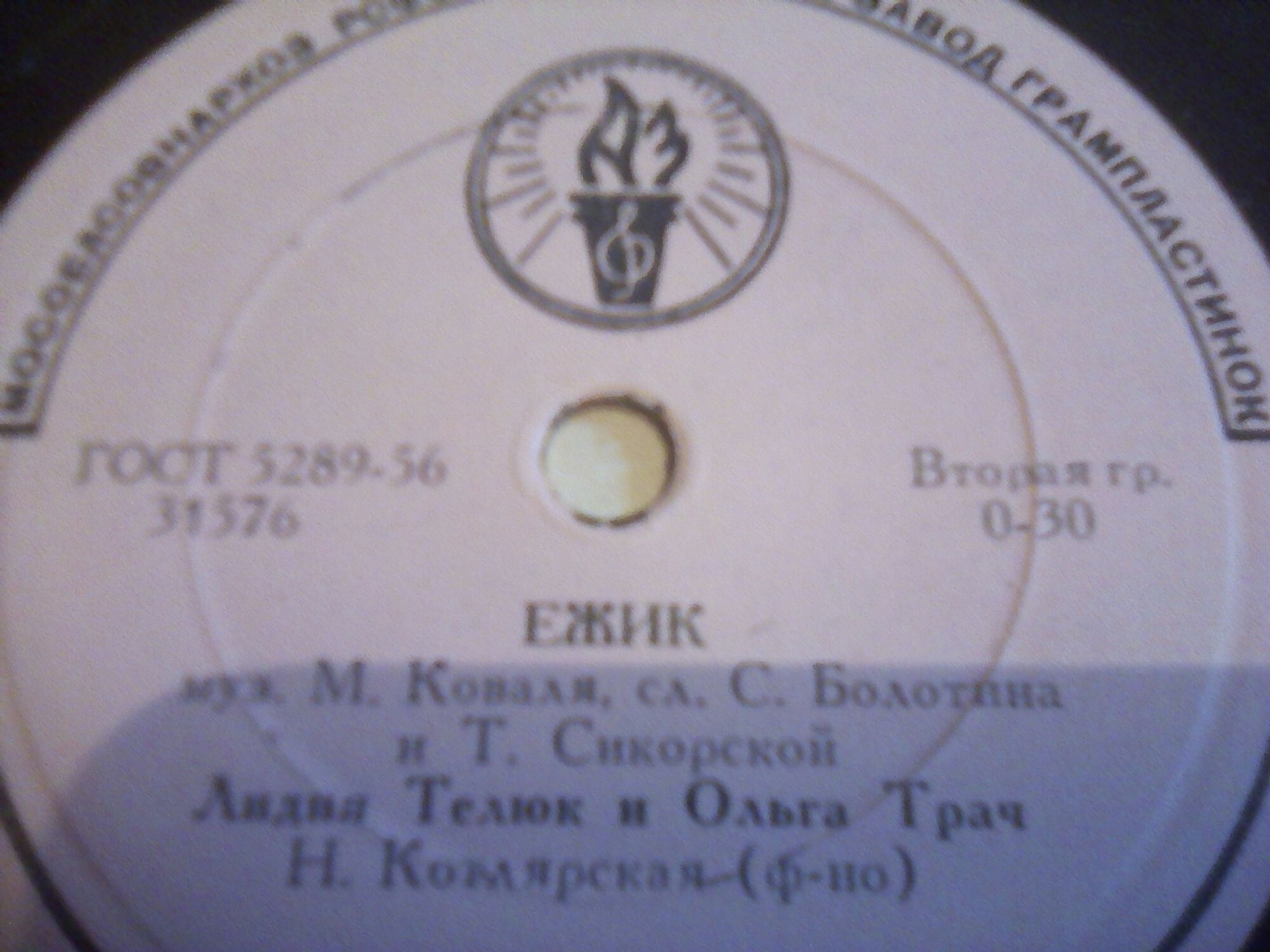 Ёжик / Портрет Зои