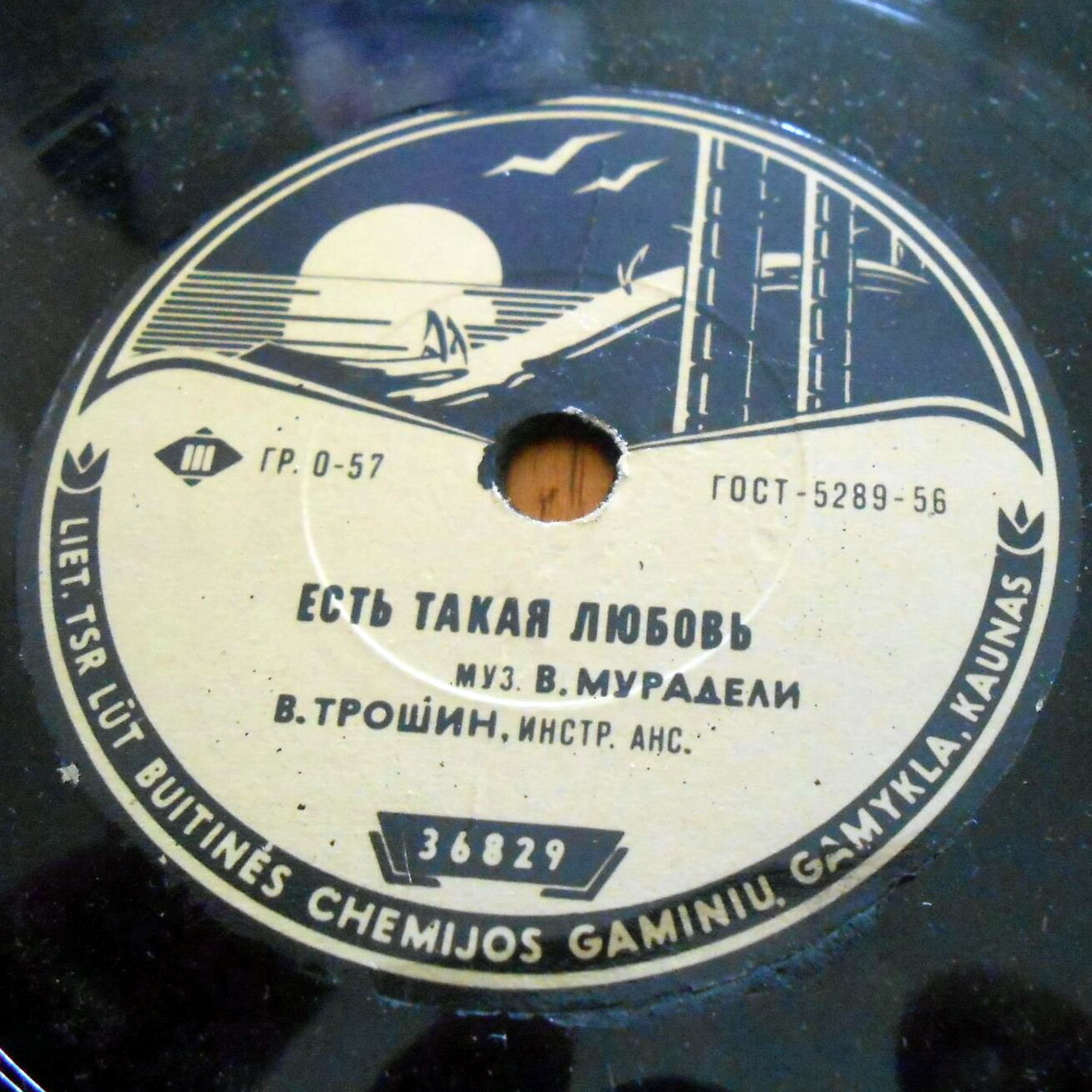 Владимир Трошин — Журавли / Есть такая любовь