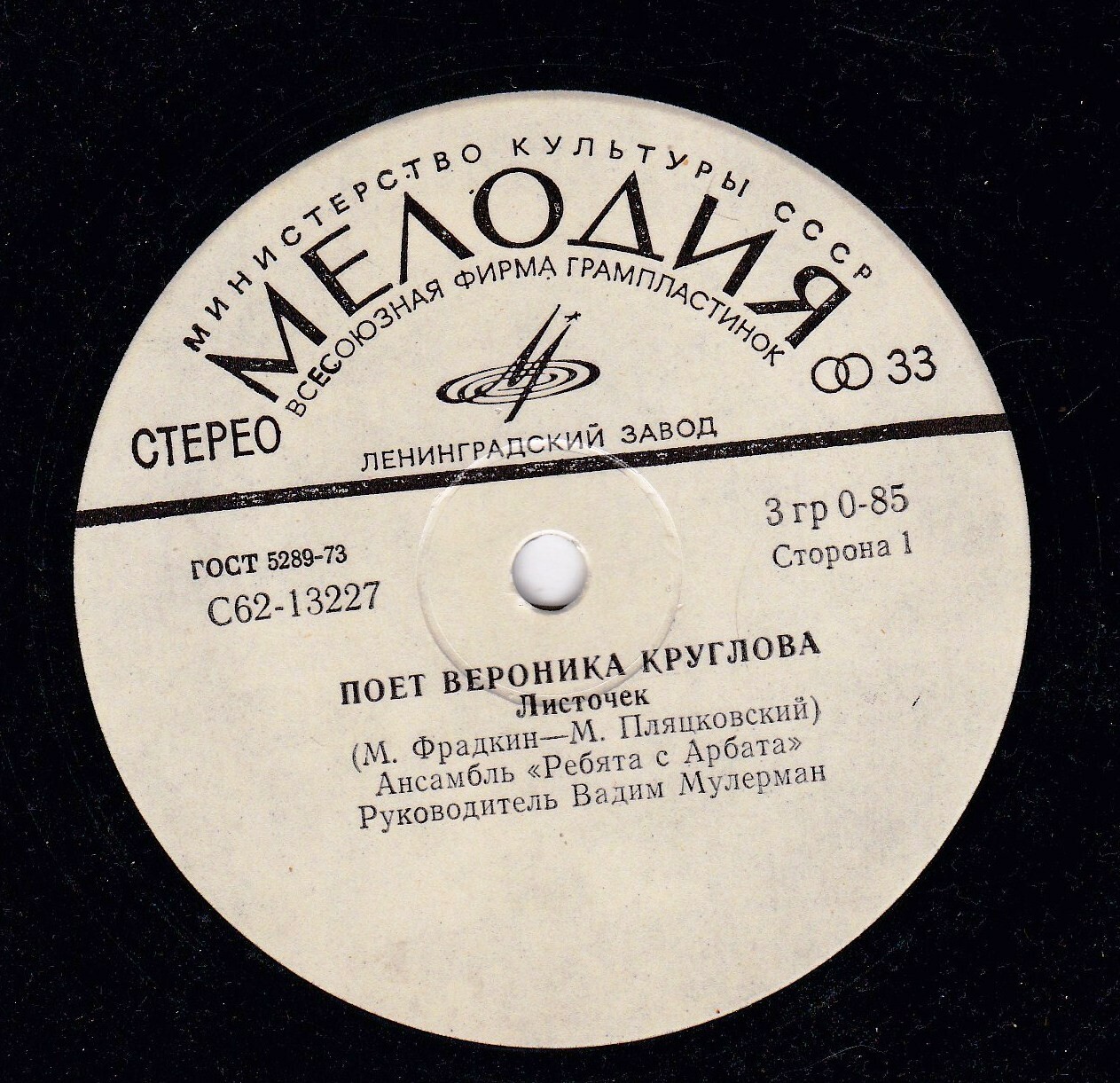 Поет Вероника Круглова