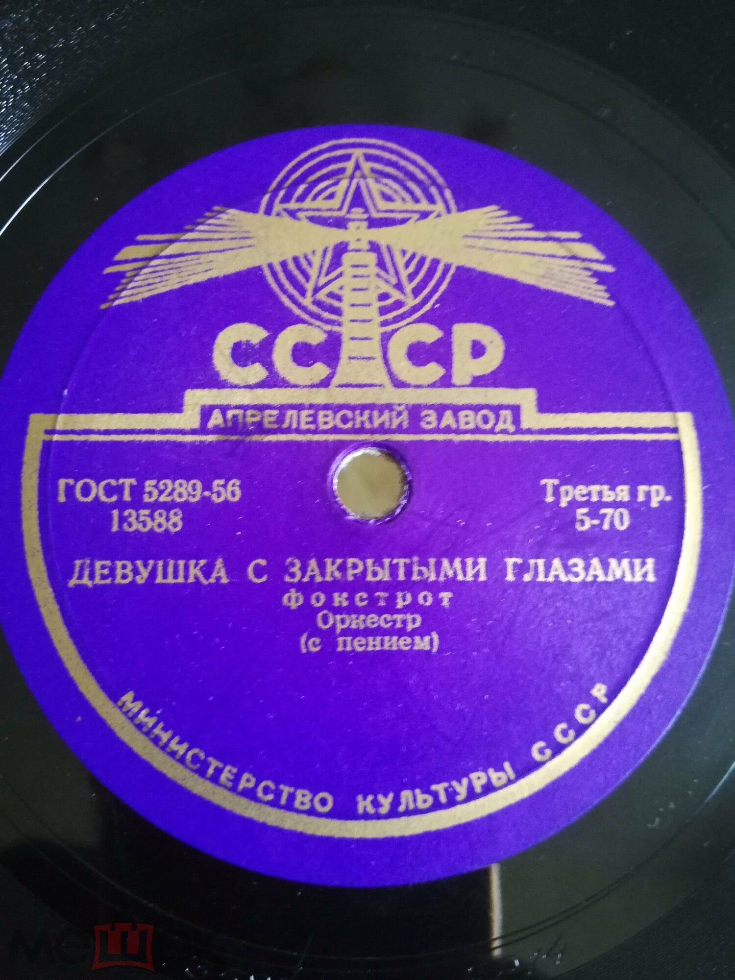 Девушка с закрытыми глазами / Только видеть и знать