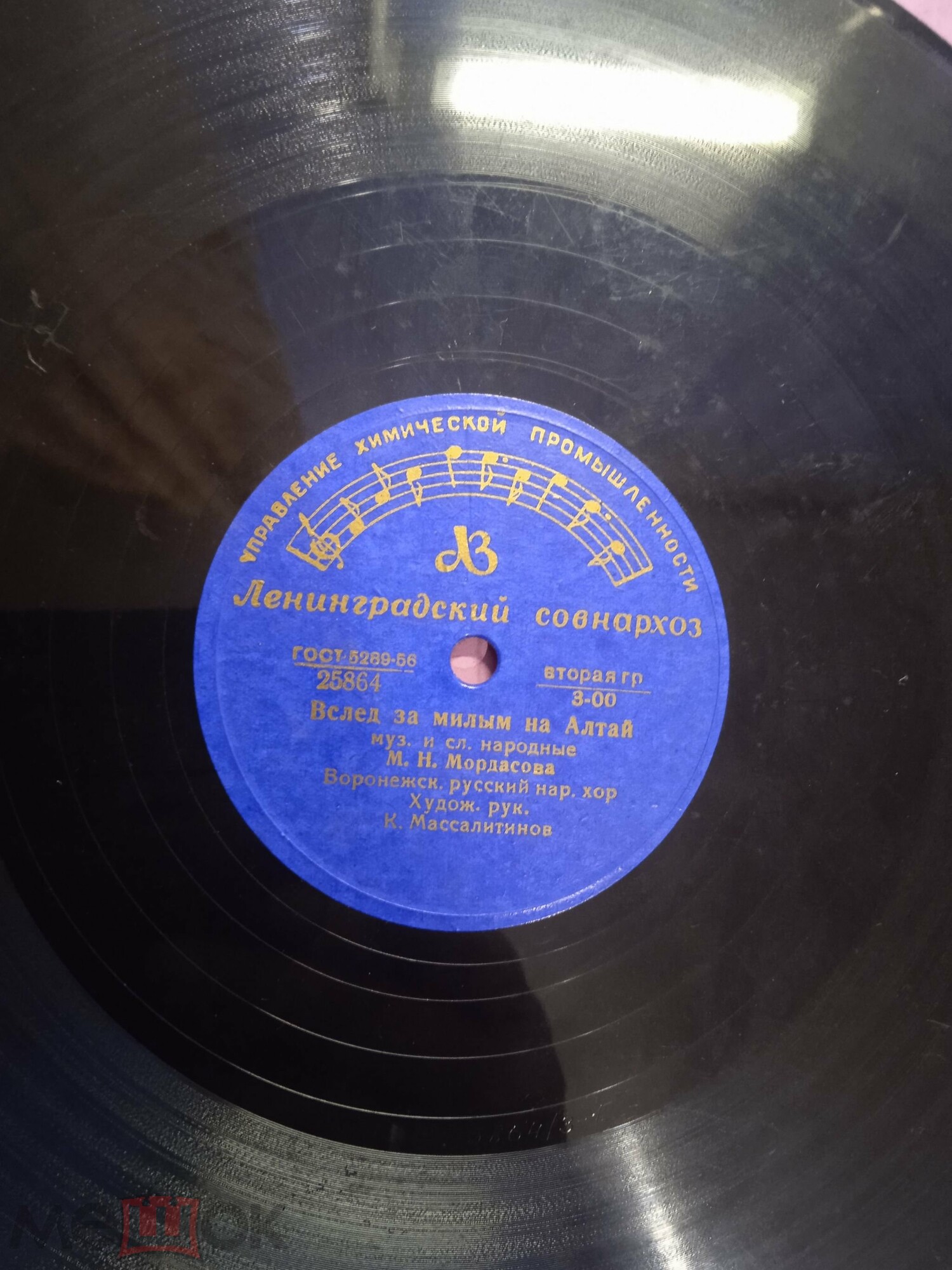 Вслед за милым на Алтай / Усманские страдания