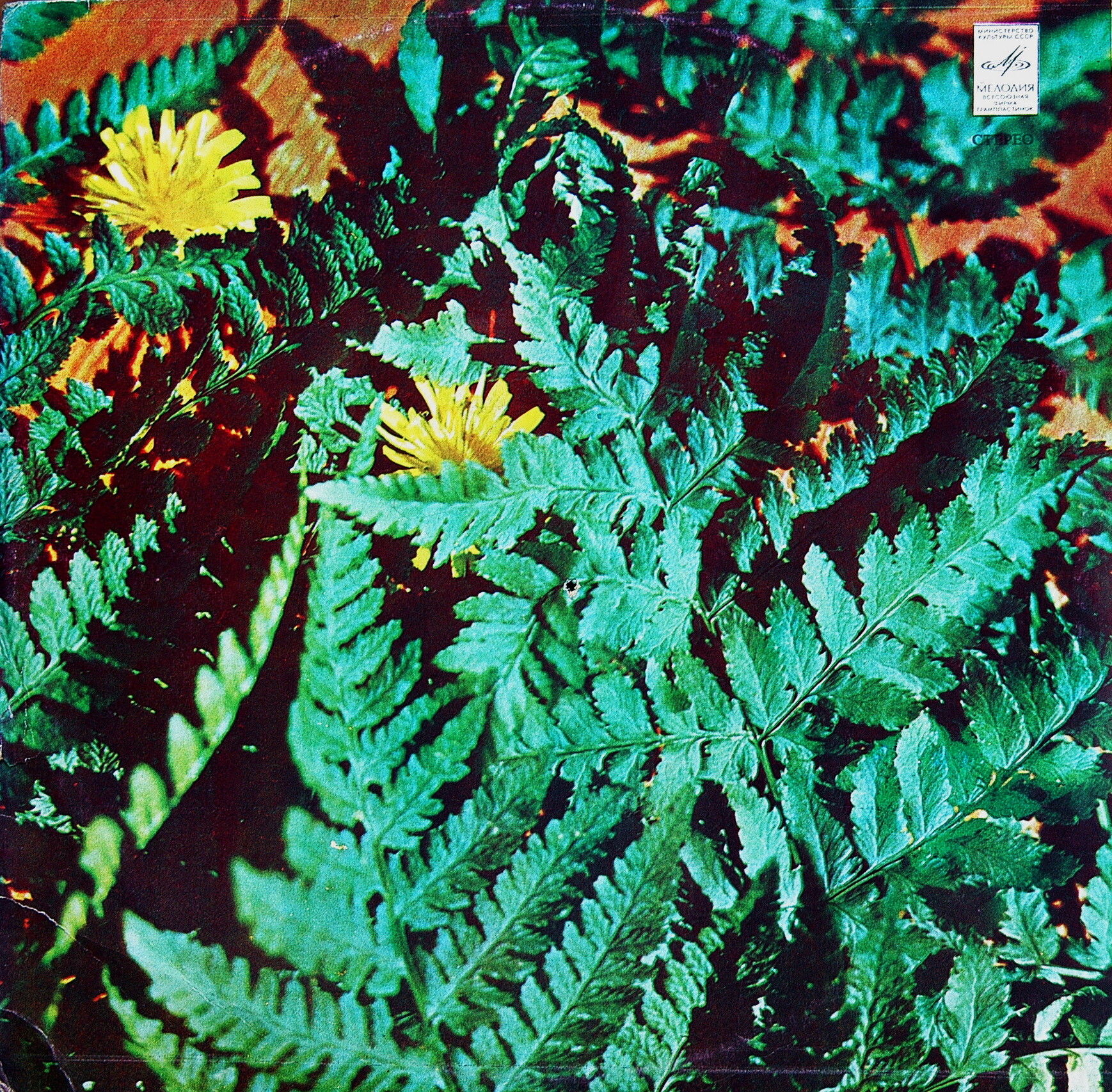 "Не ищи покоя, сердце". Песни и танцевальная музыка Зиновия БИНКИНА