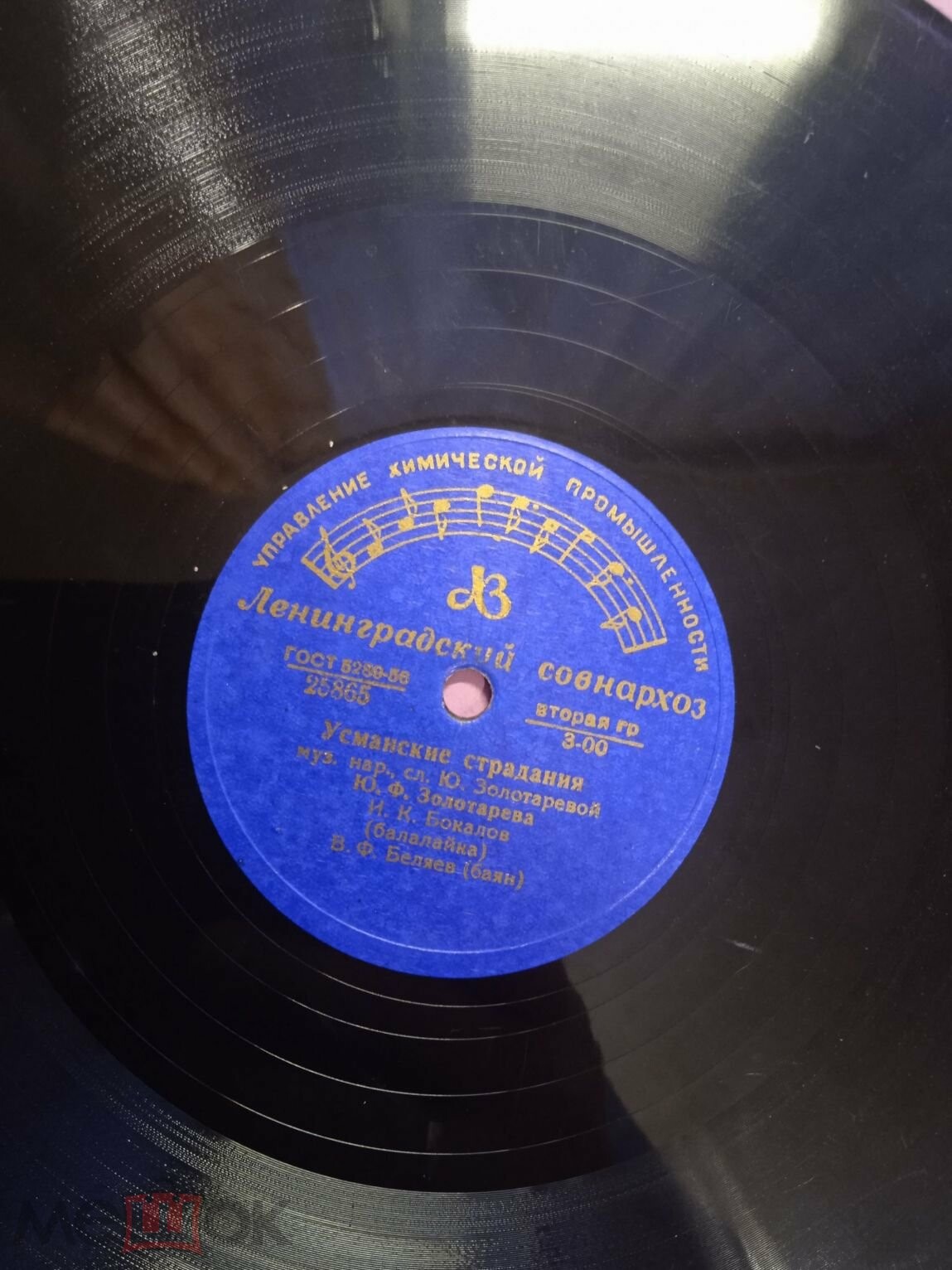 Вслед за милым на Алтай / Усманские страдания