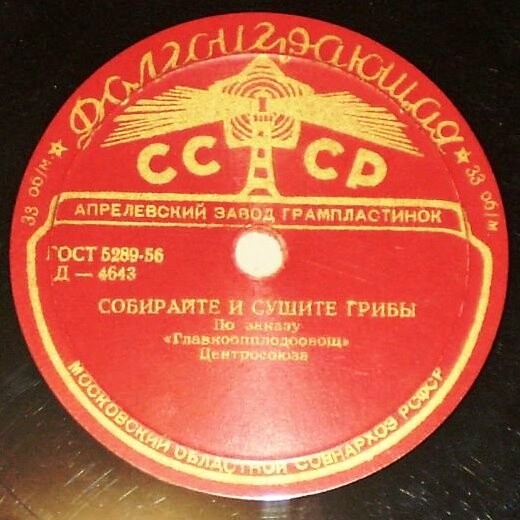 Сбор дикорастущих плодов, ягод и орехов / Собирайте и сушите грибы