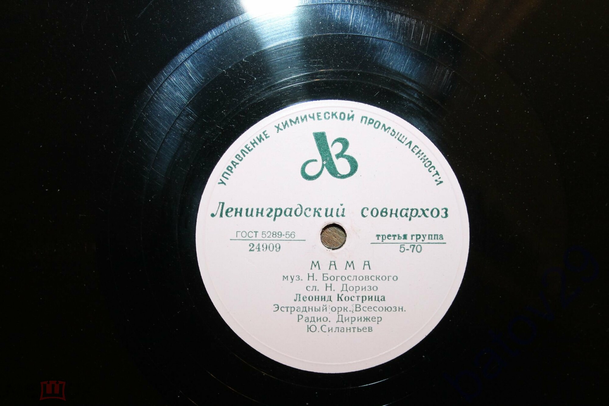 Л. Кострица — Мама / Белокрылые чайки