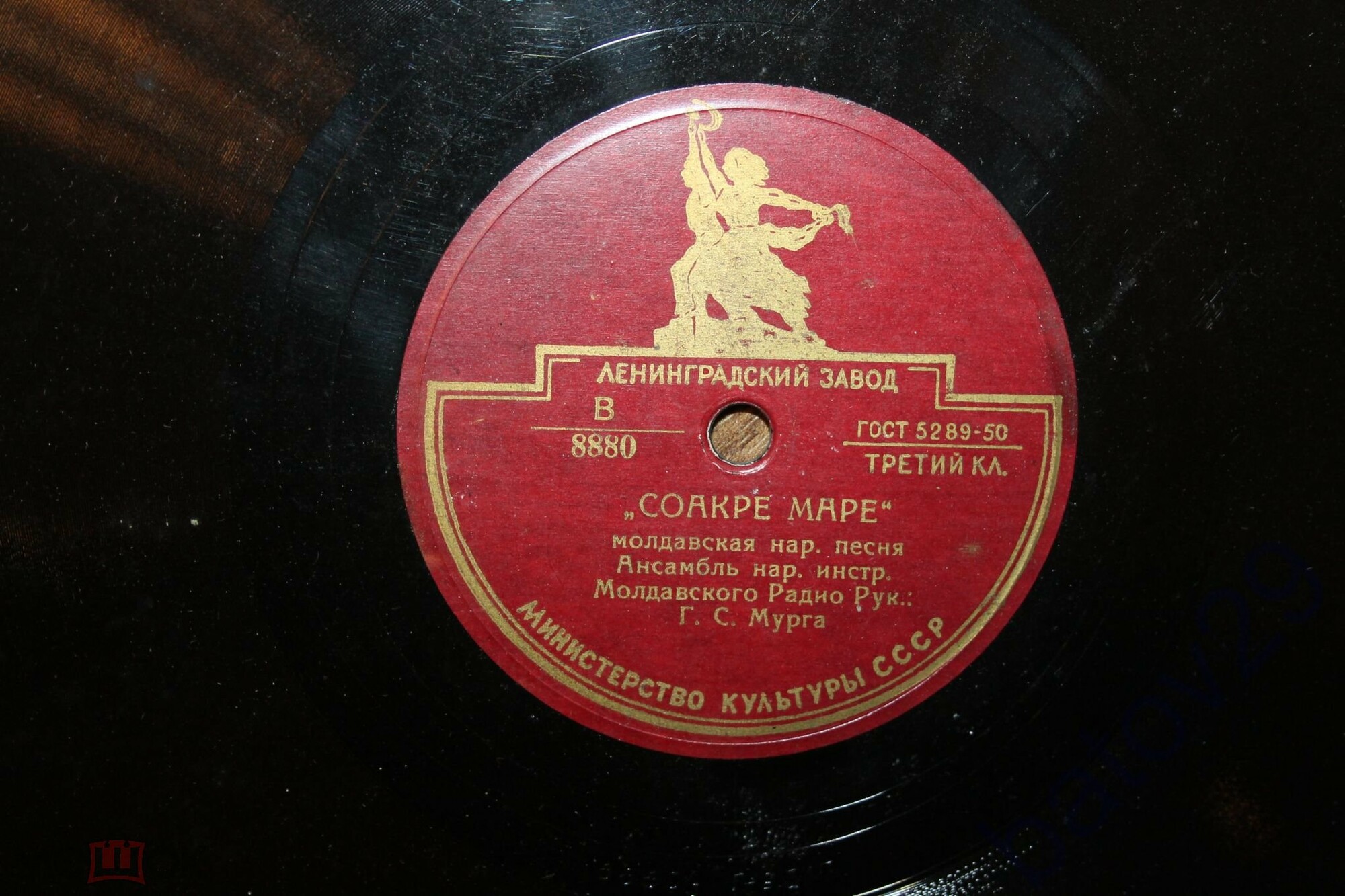 Соакре маре / Молдовеняска